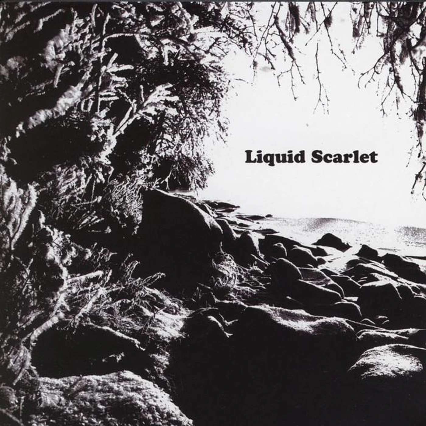 Liquid Scarlet Brand Page