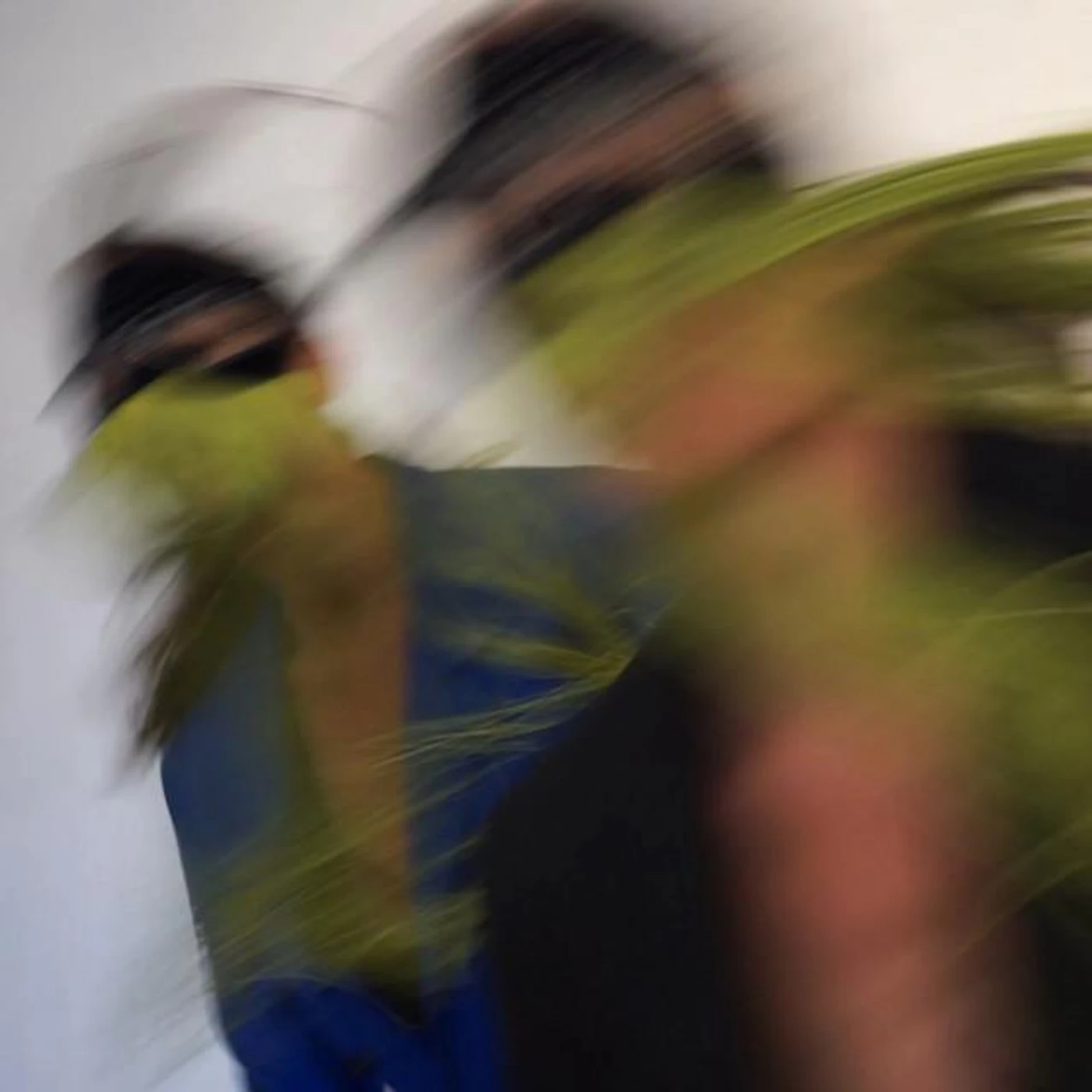 Lira Vega Brand Page