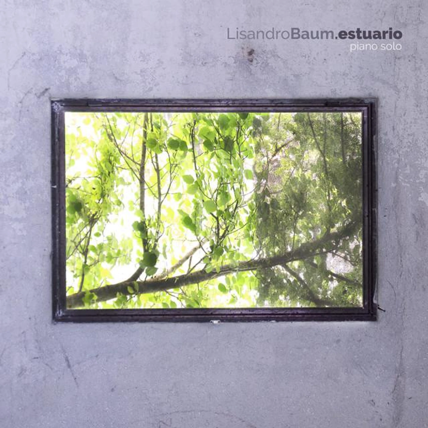 Lisandro Baum Brand Page