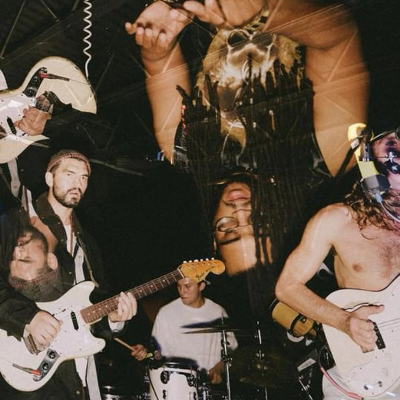 Little Bird Brand Page