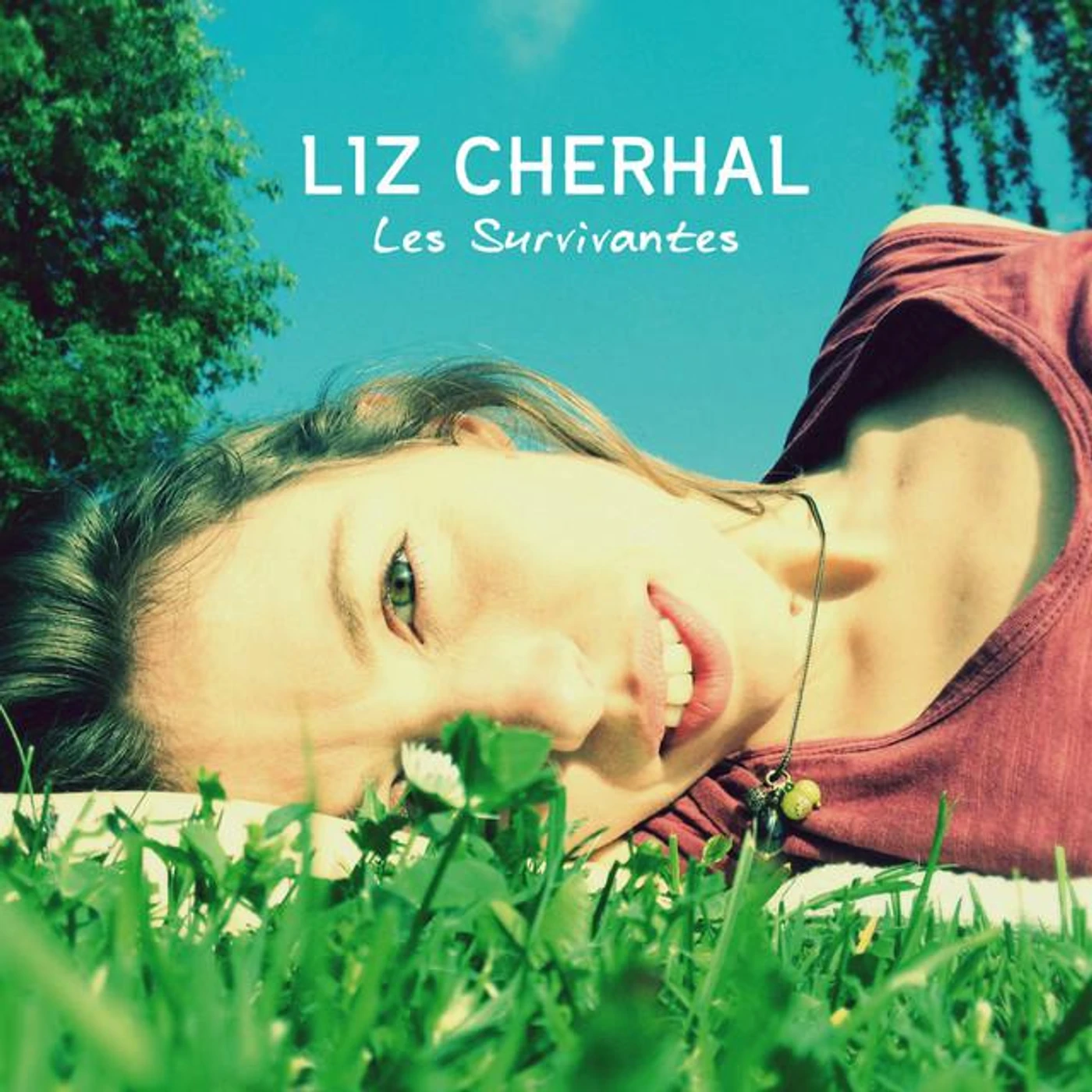 Liz Cherhal Brand Page