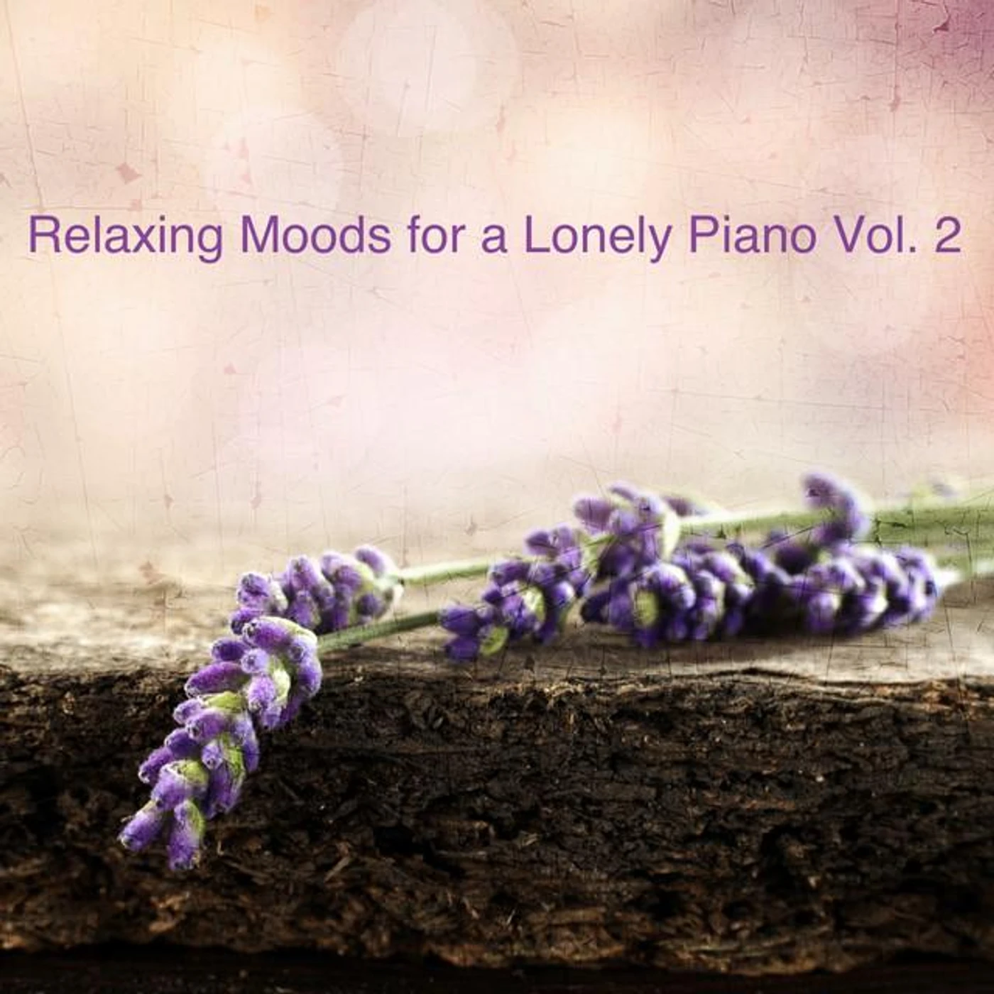 Lonely Piano Brand Page