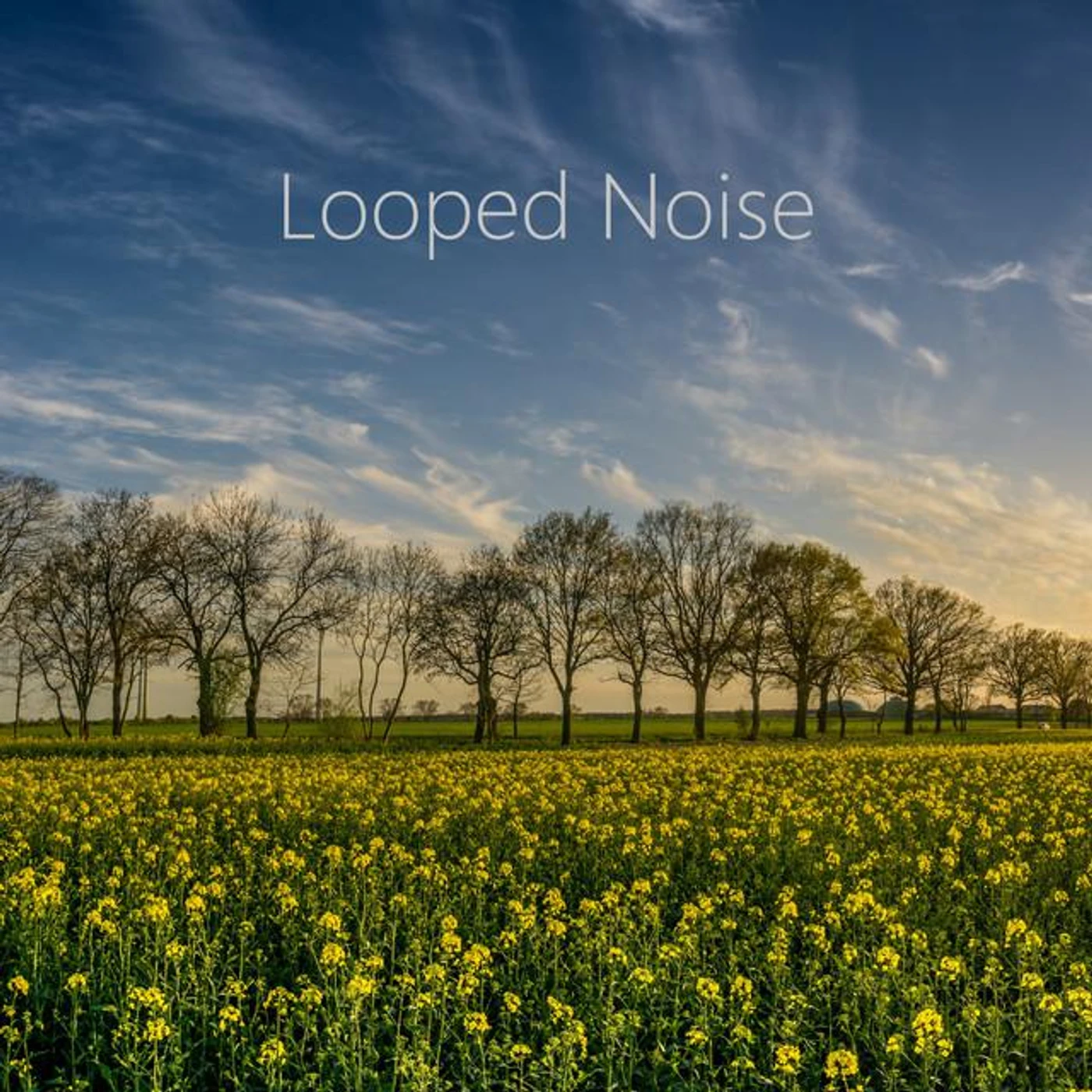 Looped Noise