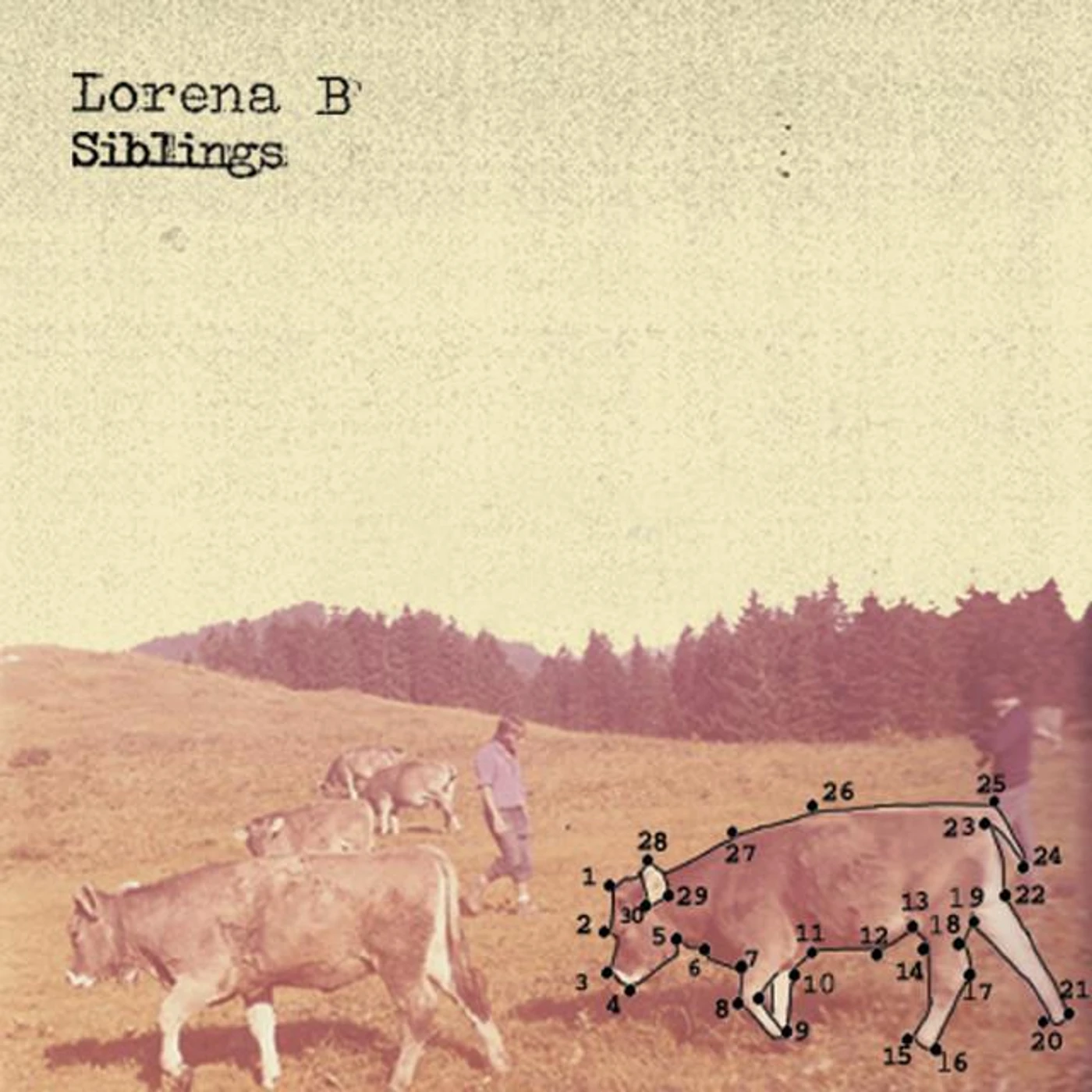 Lorena B