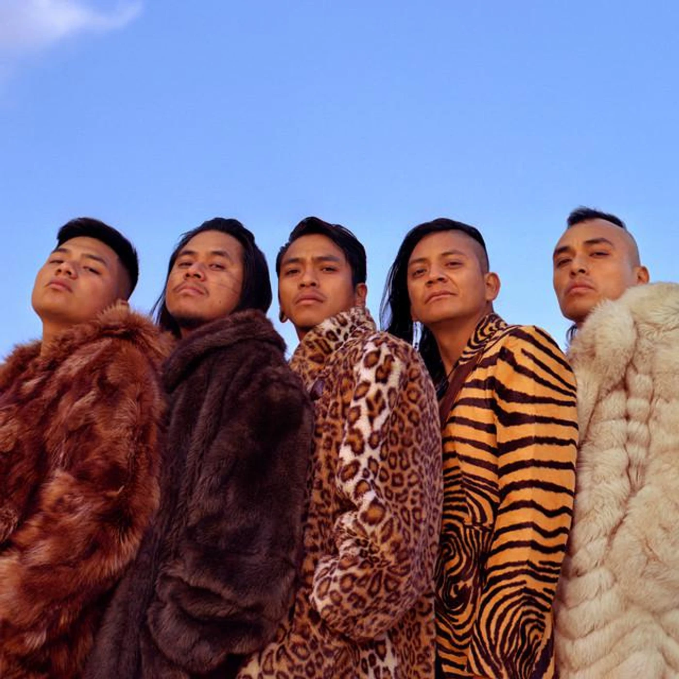 Los Cogelones Brand Page