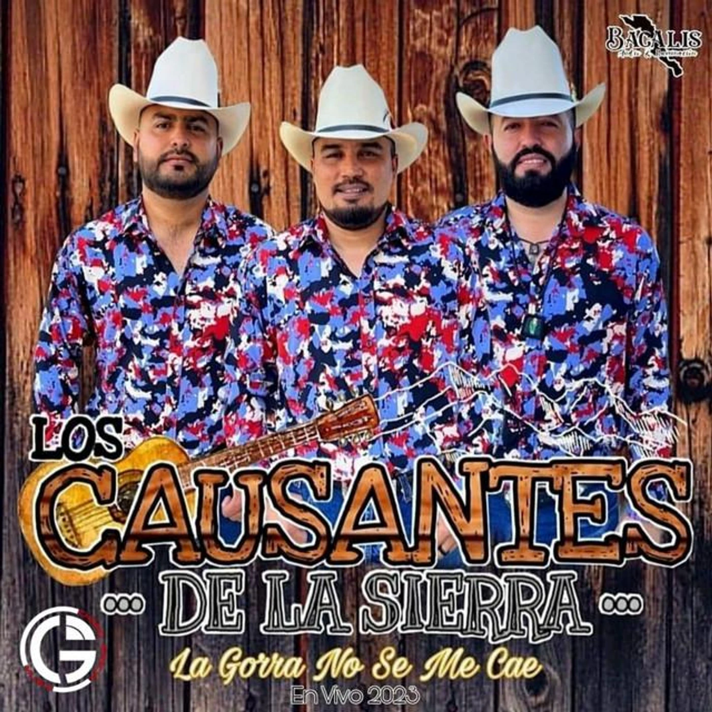 Los Causantes de la Sierra Brand Page