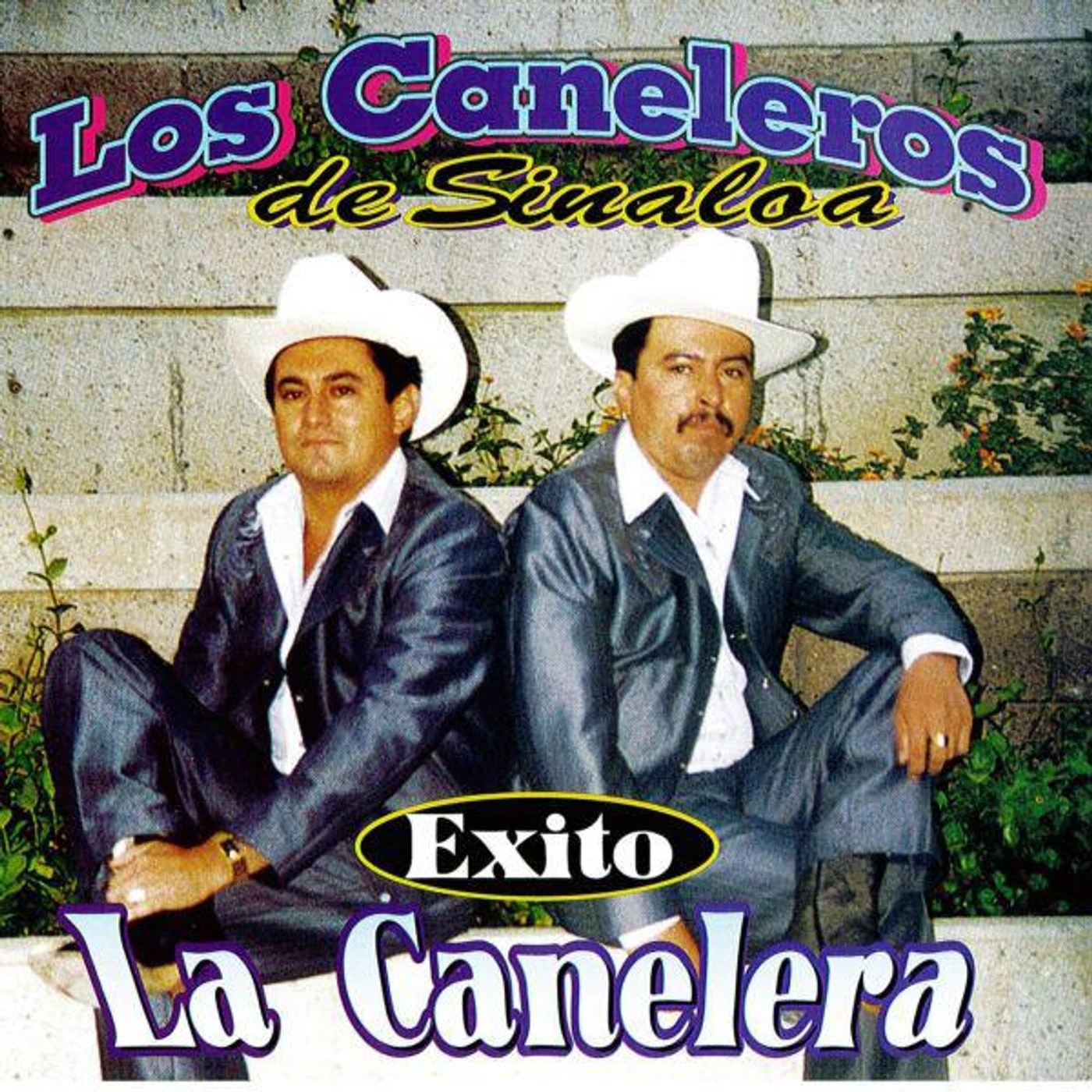 Los Caneleros de Sinaloa Brand Page