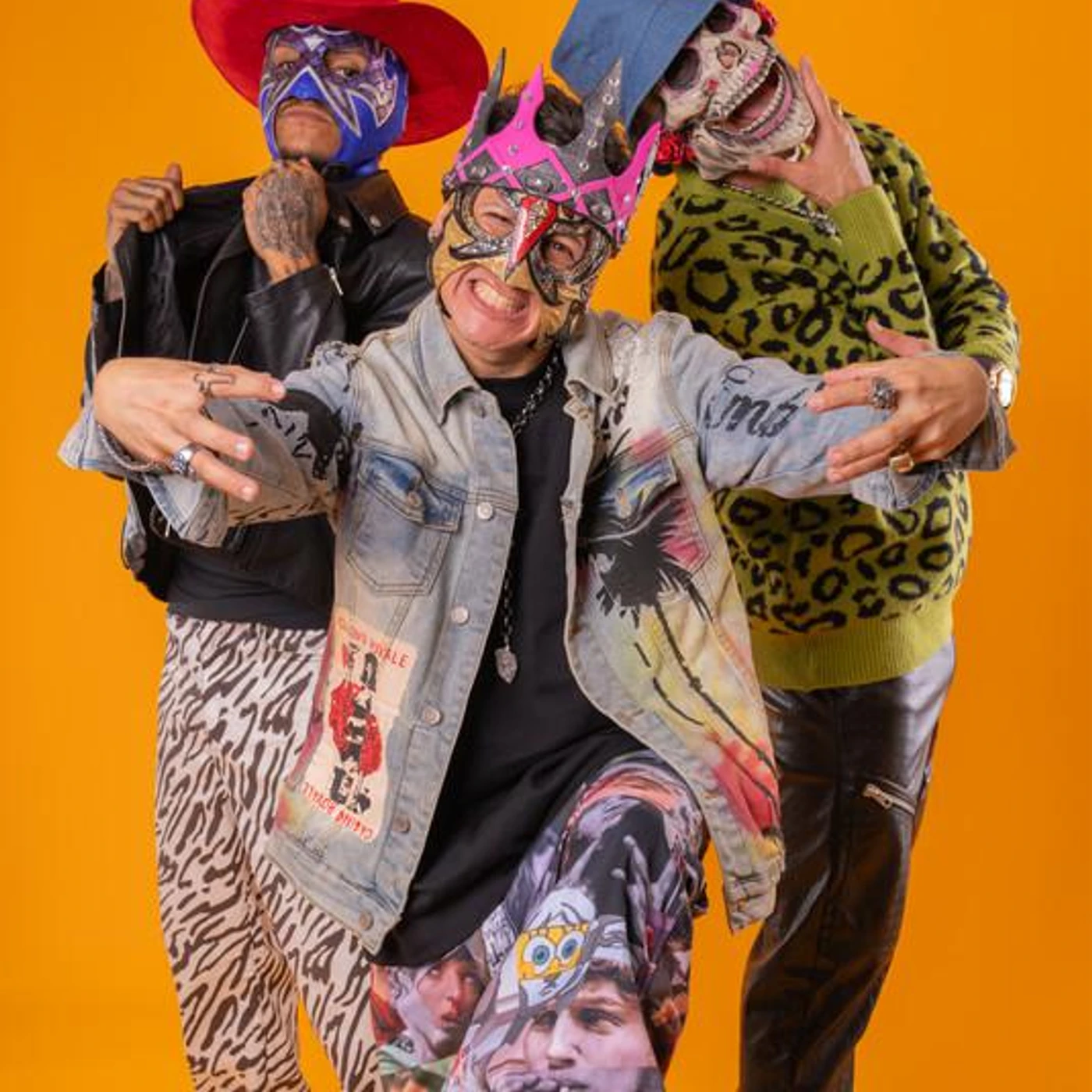 Los Chinchillos Del Caribe