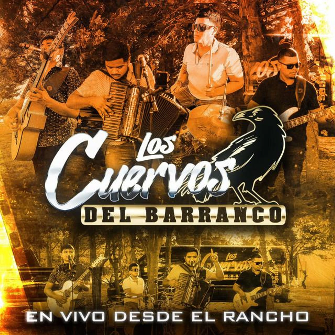 Los cuervos del barranco