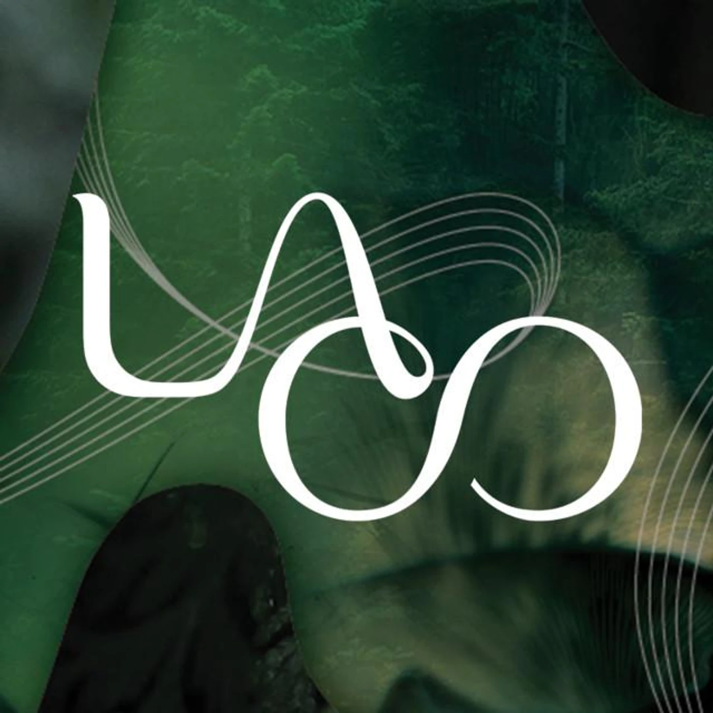 Los Angeles Chamber Orchestra Brand Page