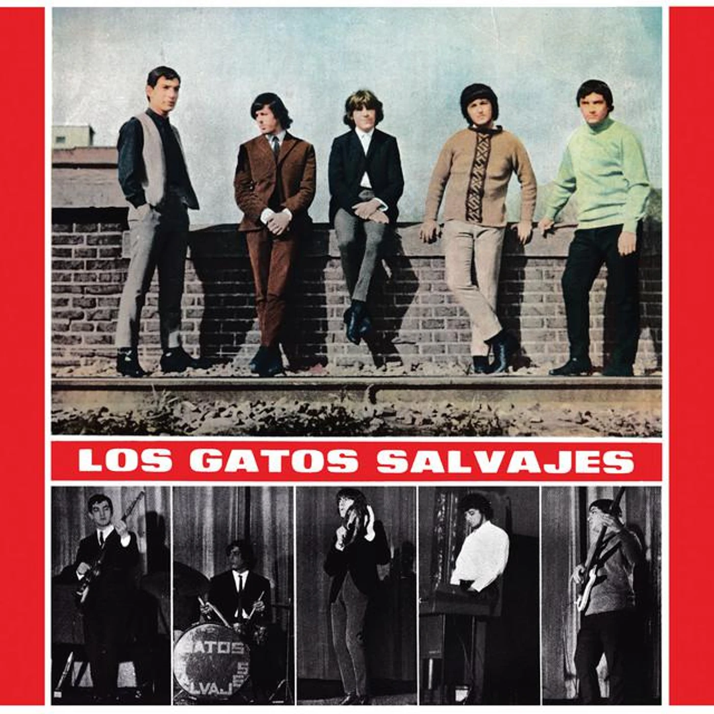 Los Gatos Salvajes Brand Page