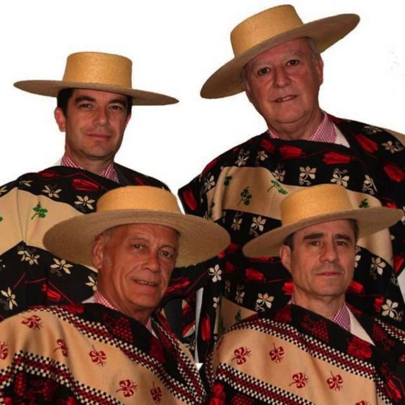Los Huasos Quincheros Brand Page