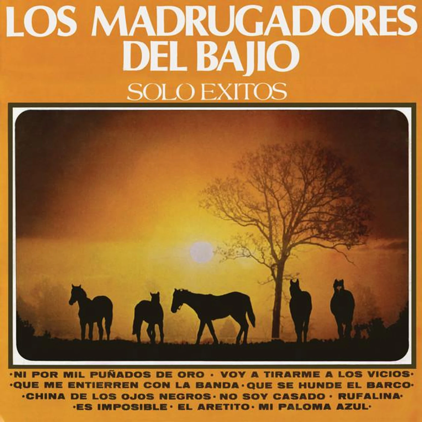 Los Madrugadores Del Bajio