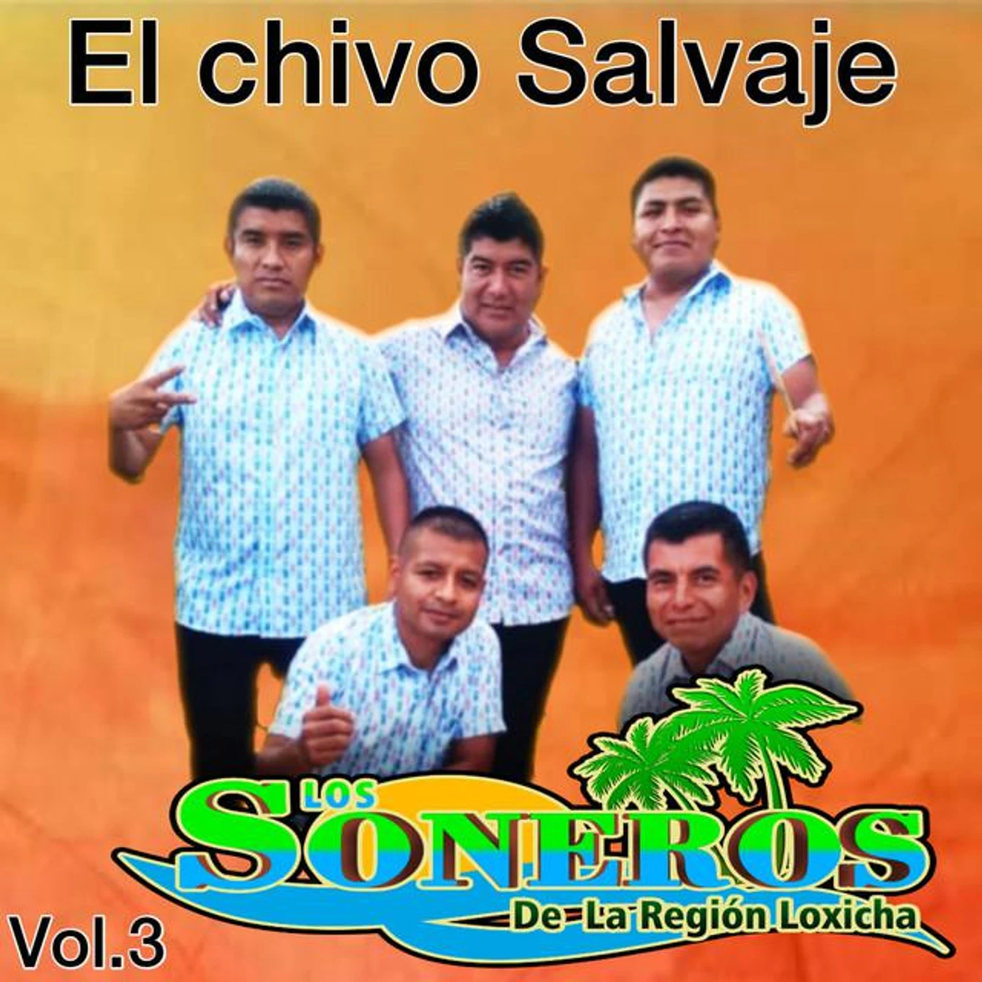 Los Soneros De La Región Loxicha Brand Page