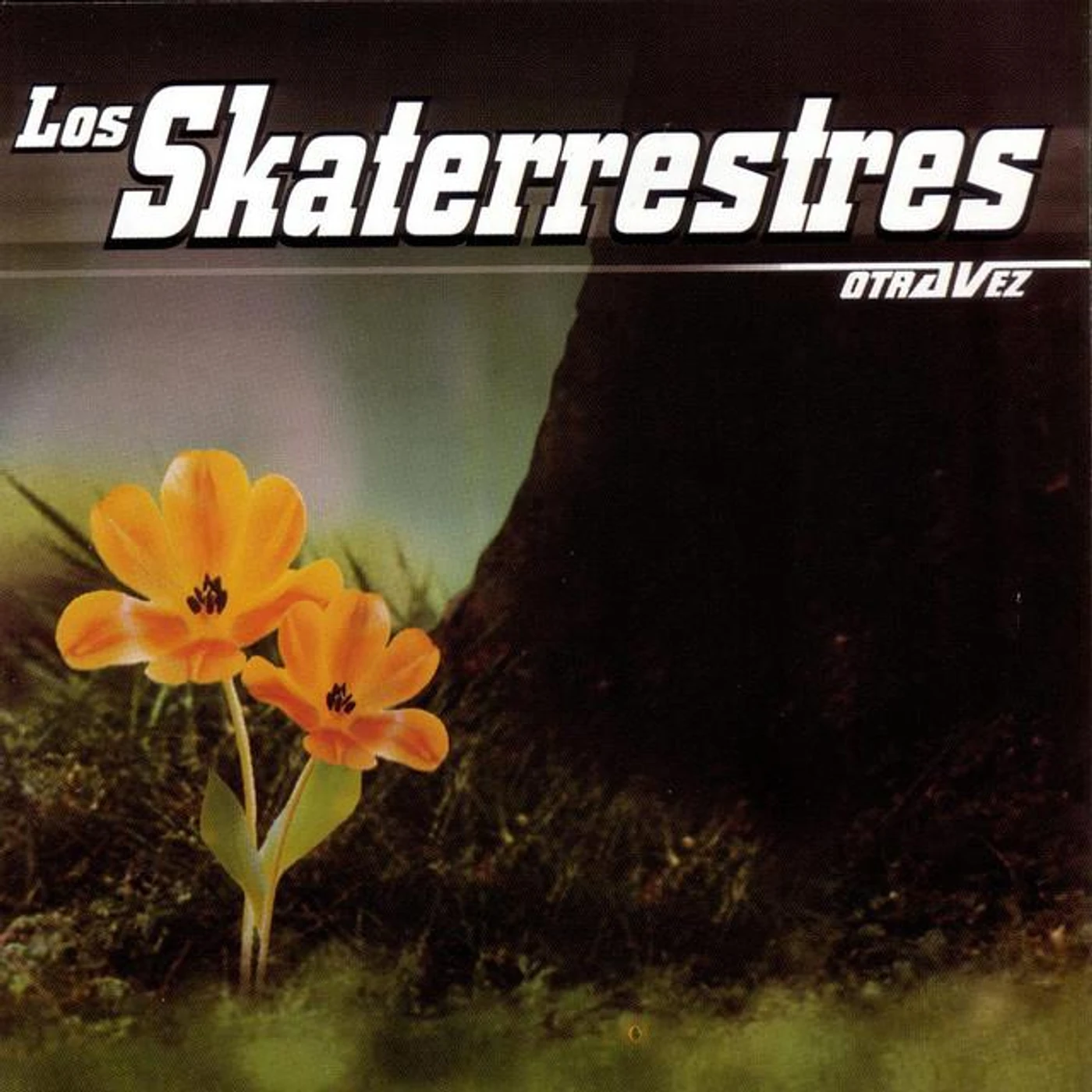 Los Skaterrestres Brand Page