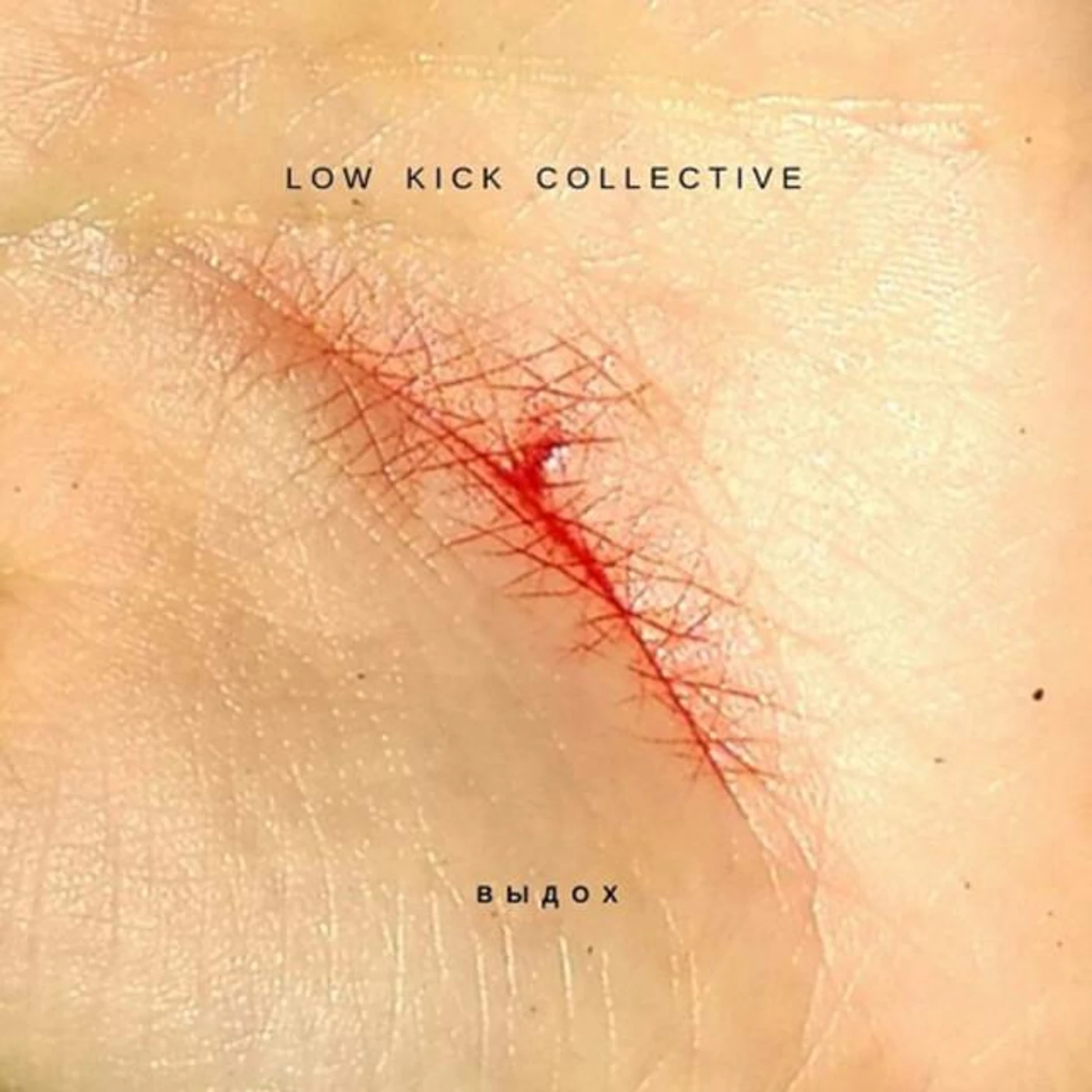 Low Kick Collective Brand Page