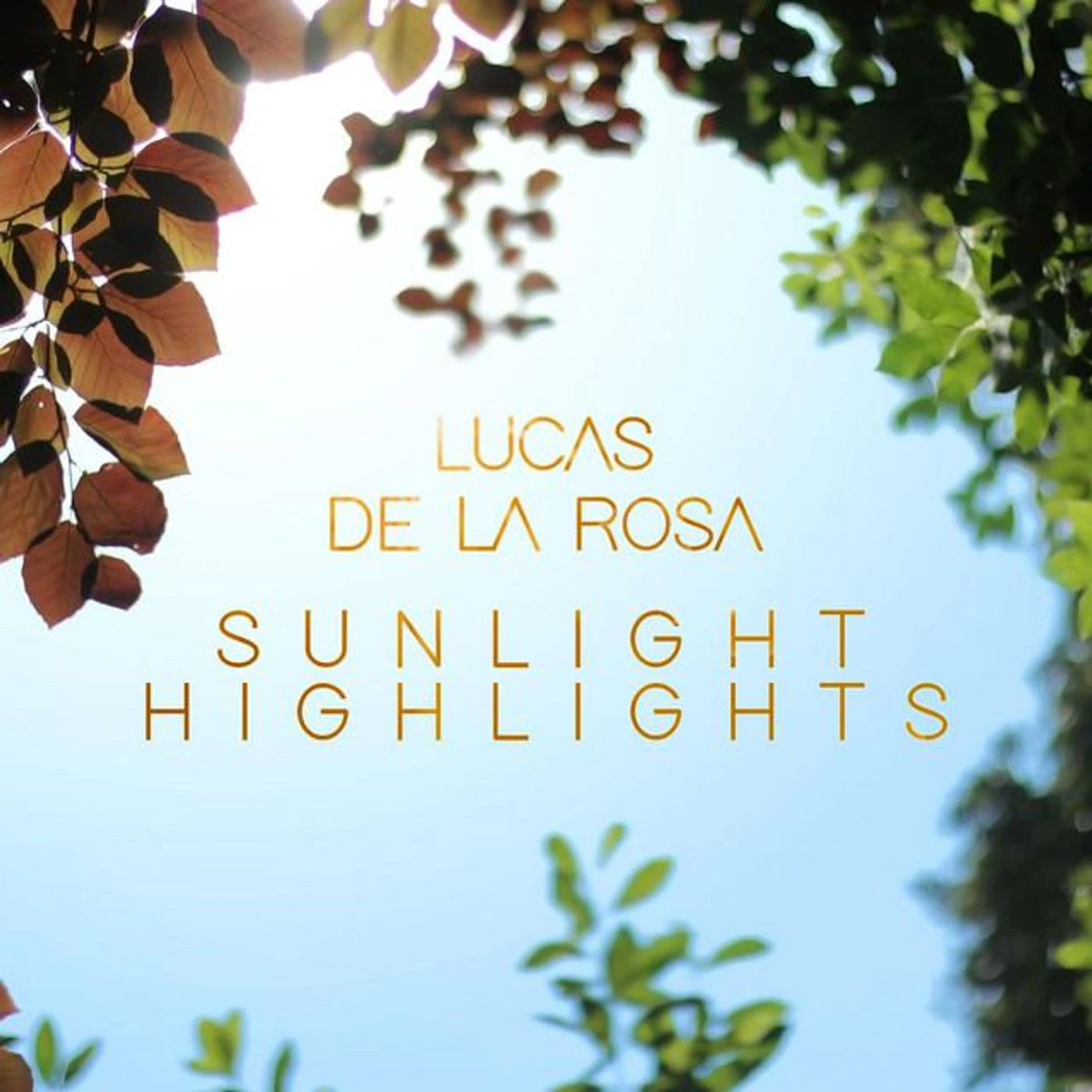Lucas de la Rosa Brand Page