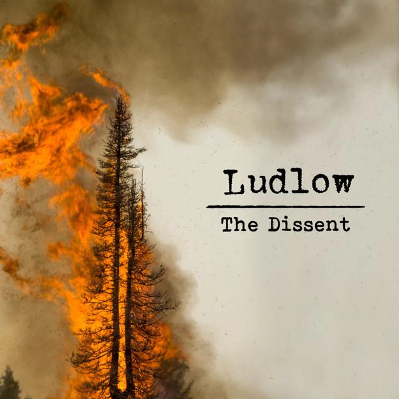 Ludlow Brand Page