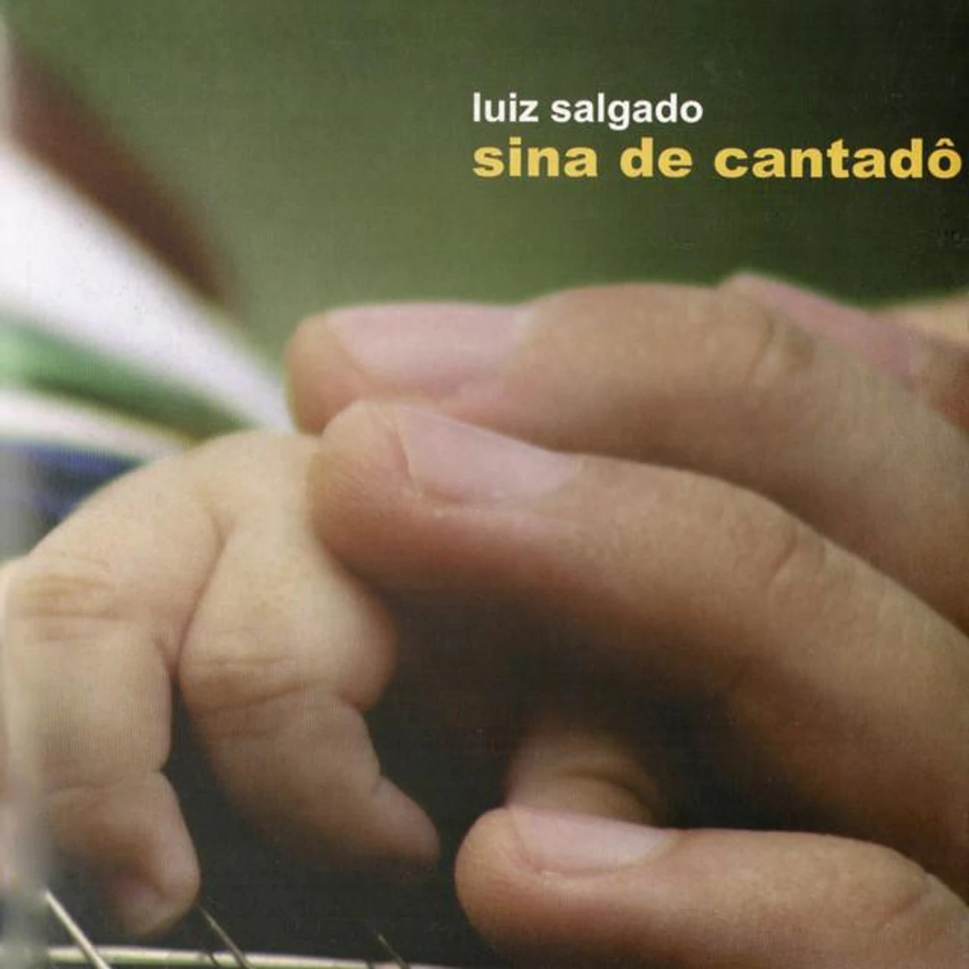 Luiz Salgado