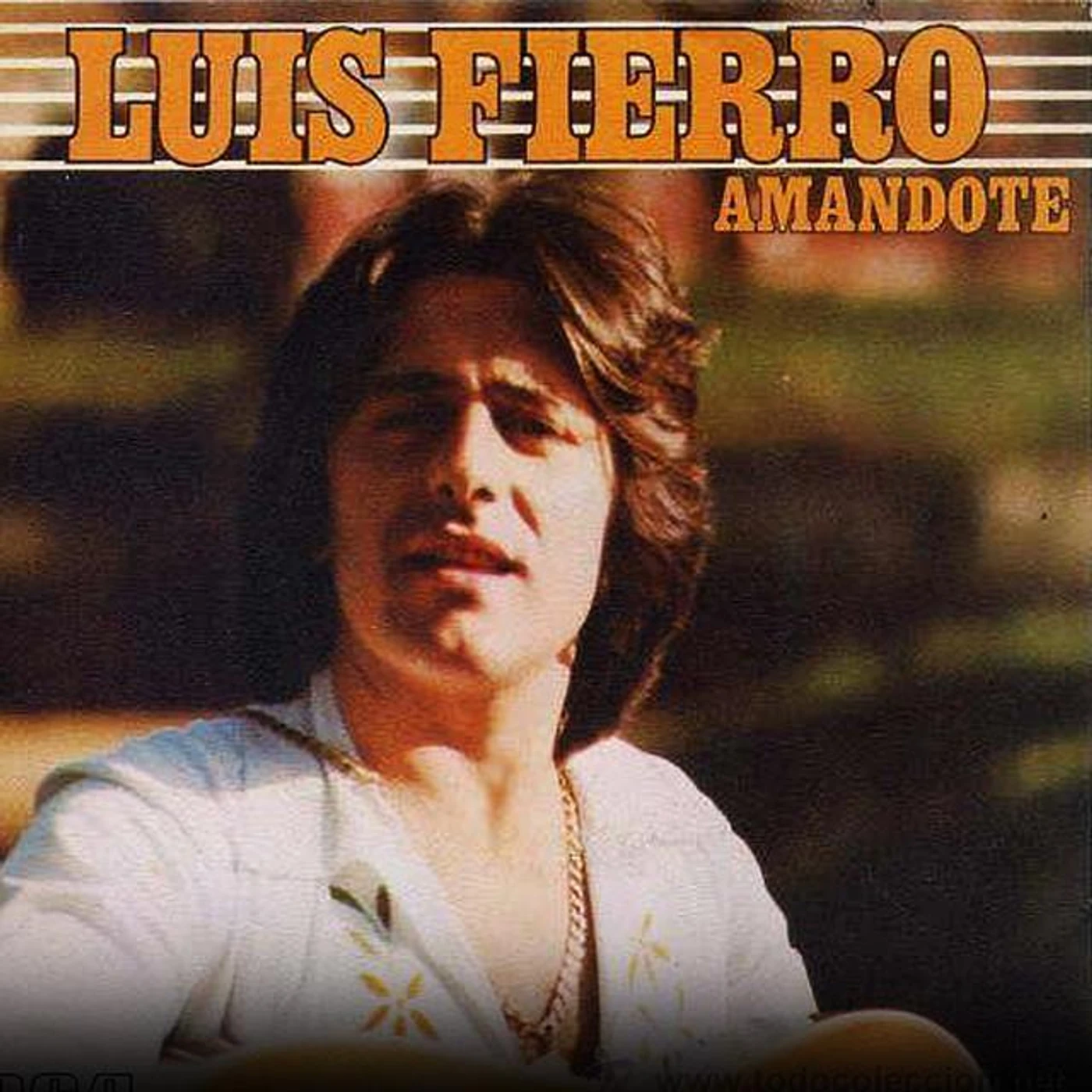 Luis Fierro Brand Page