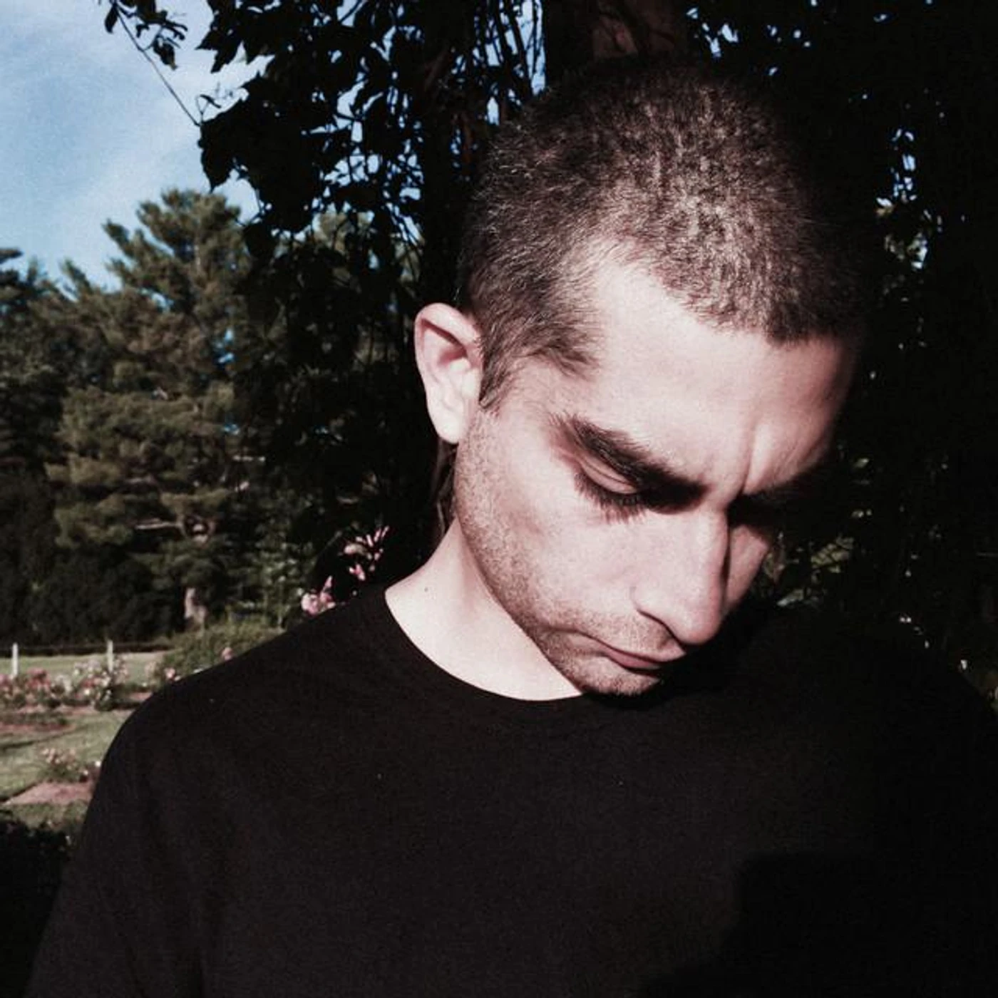 Luis León Brand Page