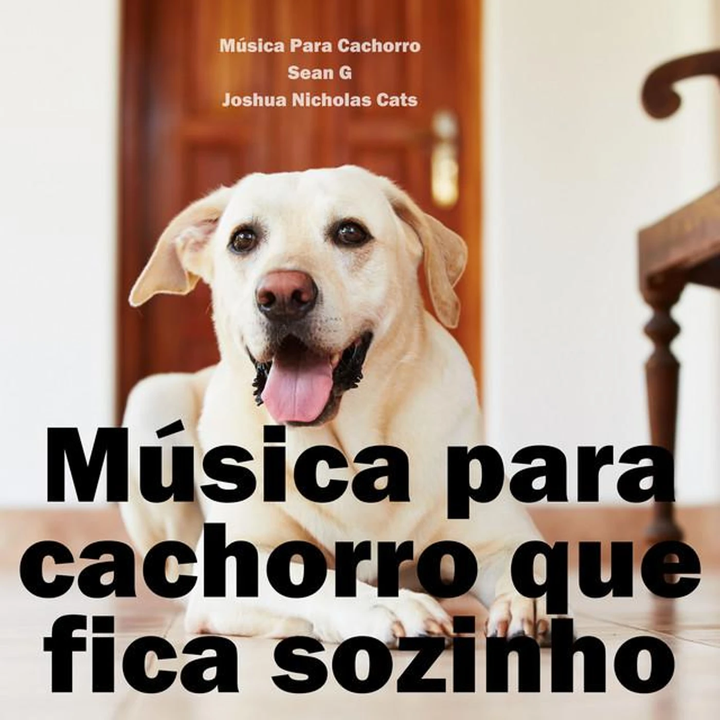 Música Para Cachorro Brand Page