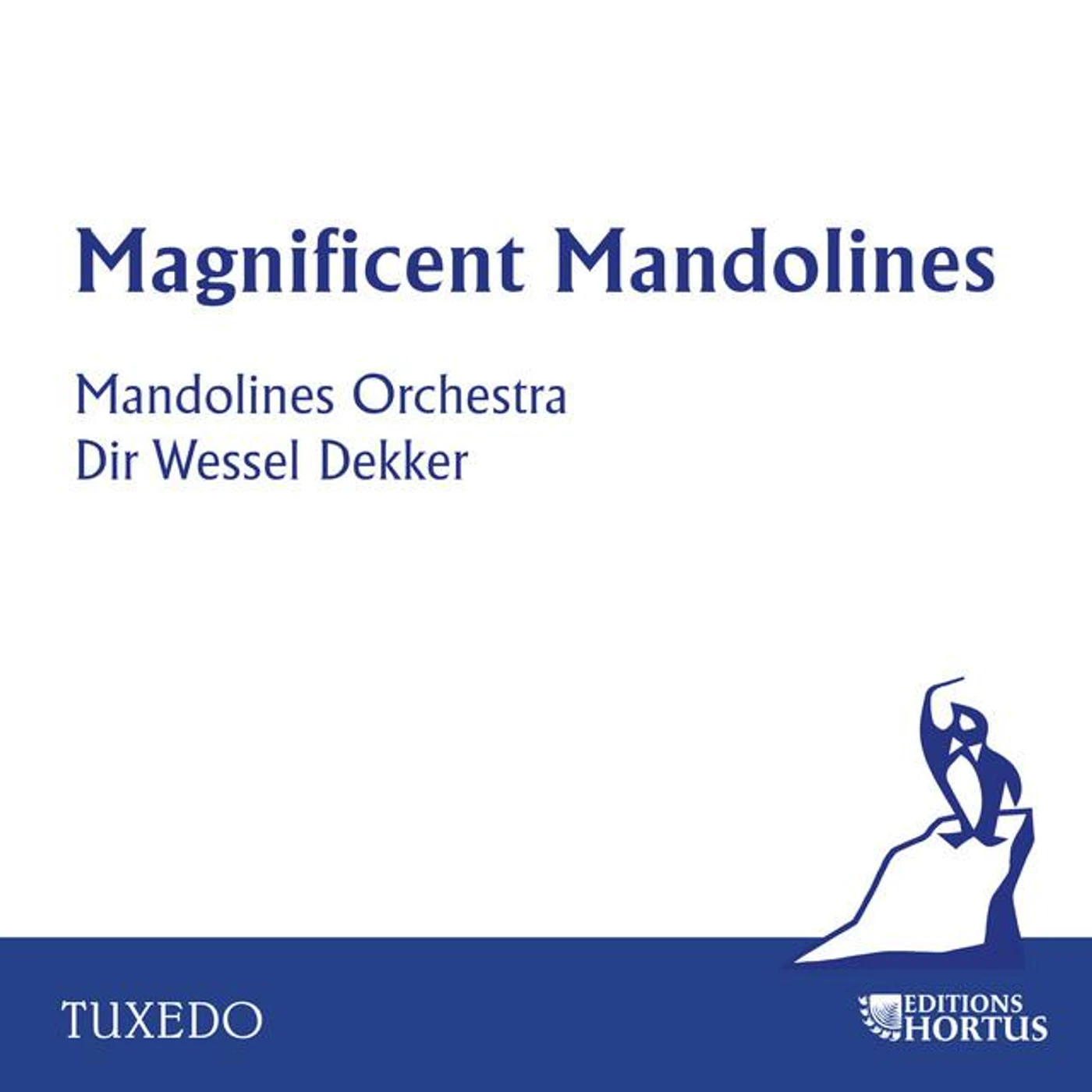 Mandolin Orchestra