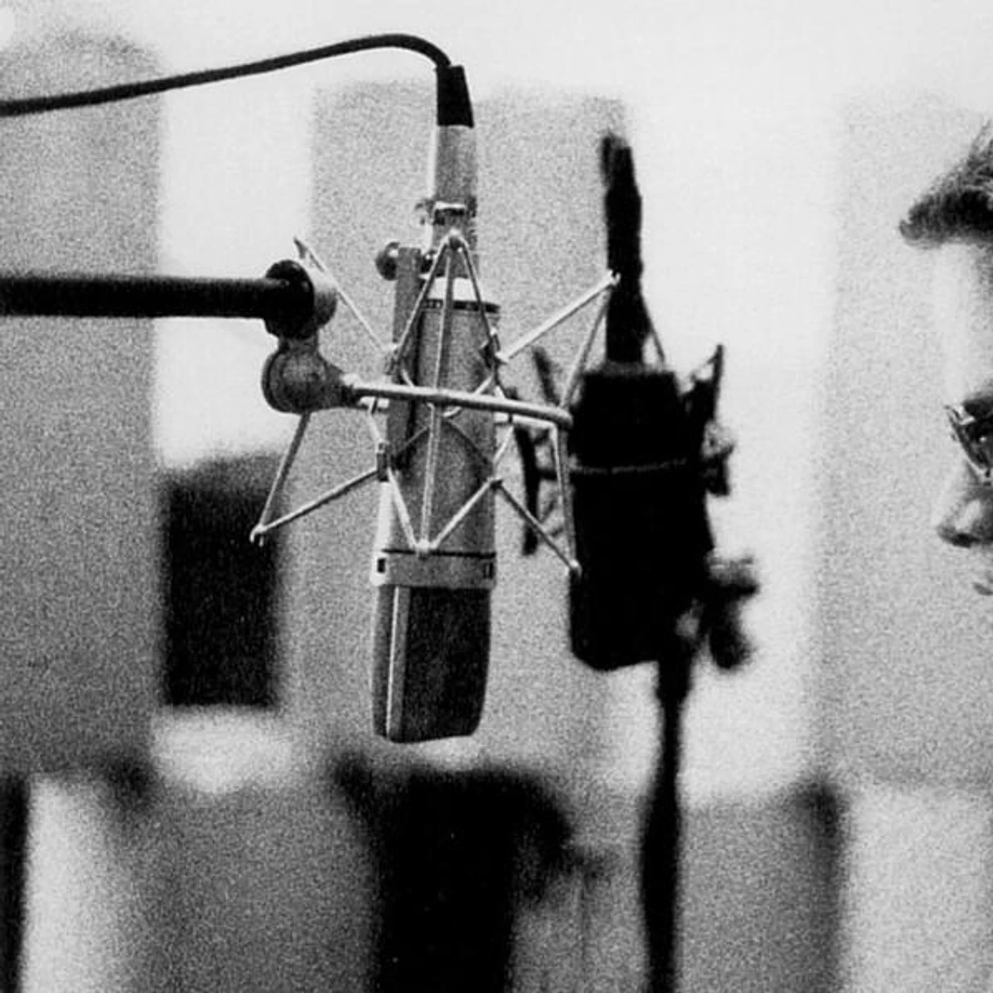 Manishevitz Brand Page