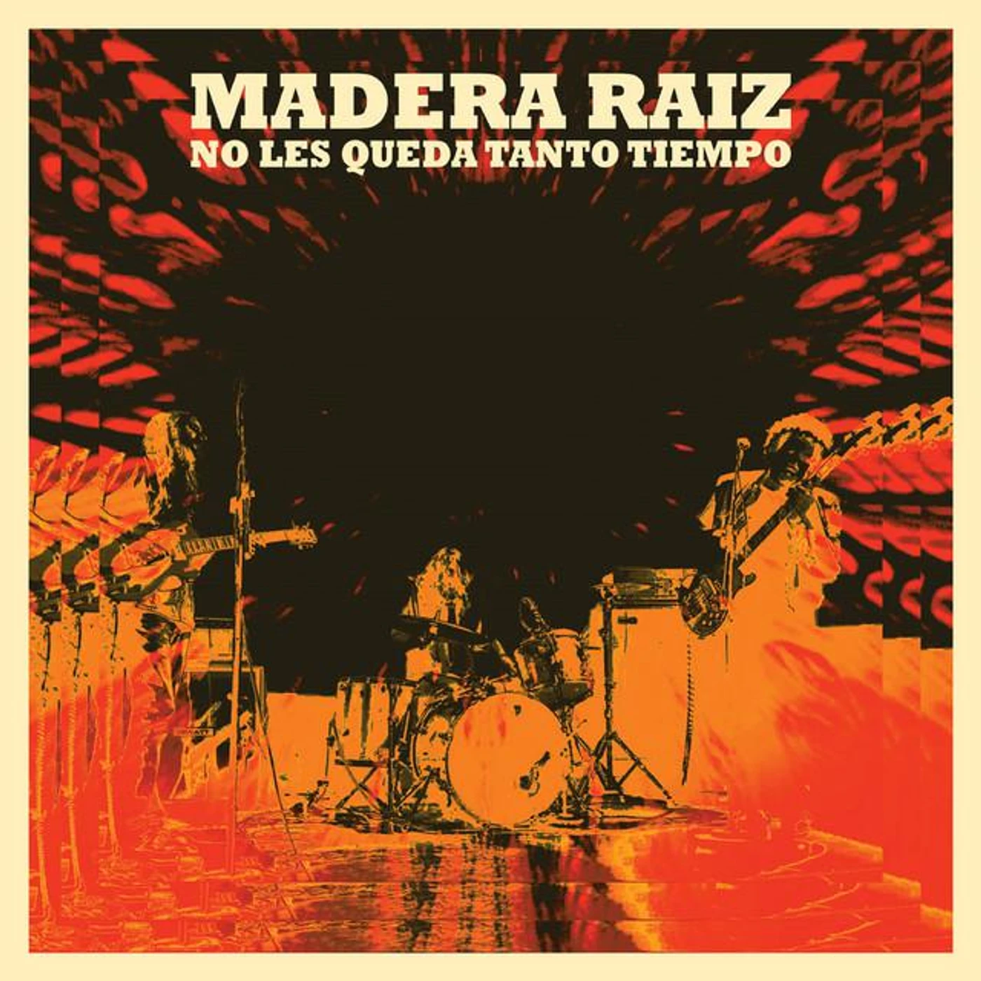 Madera Raíz Brand Page