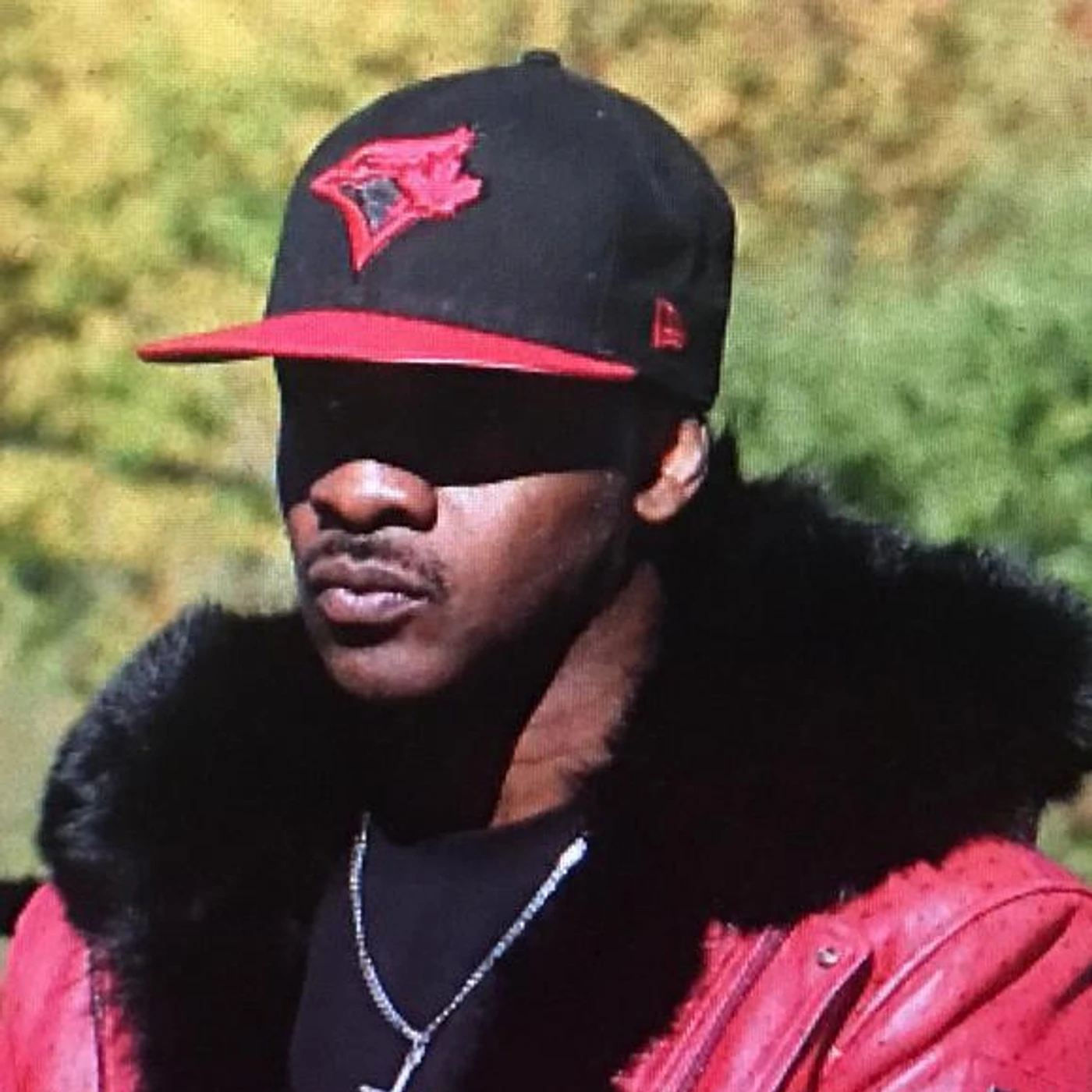 Maestro Fresh Wes Brand Page