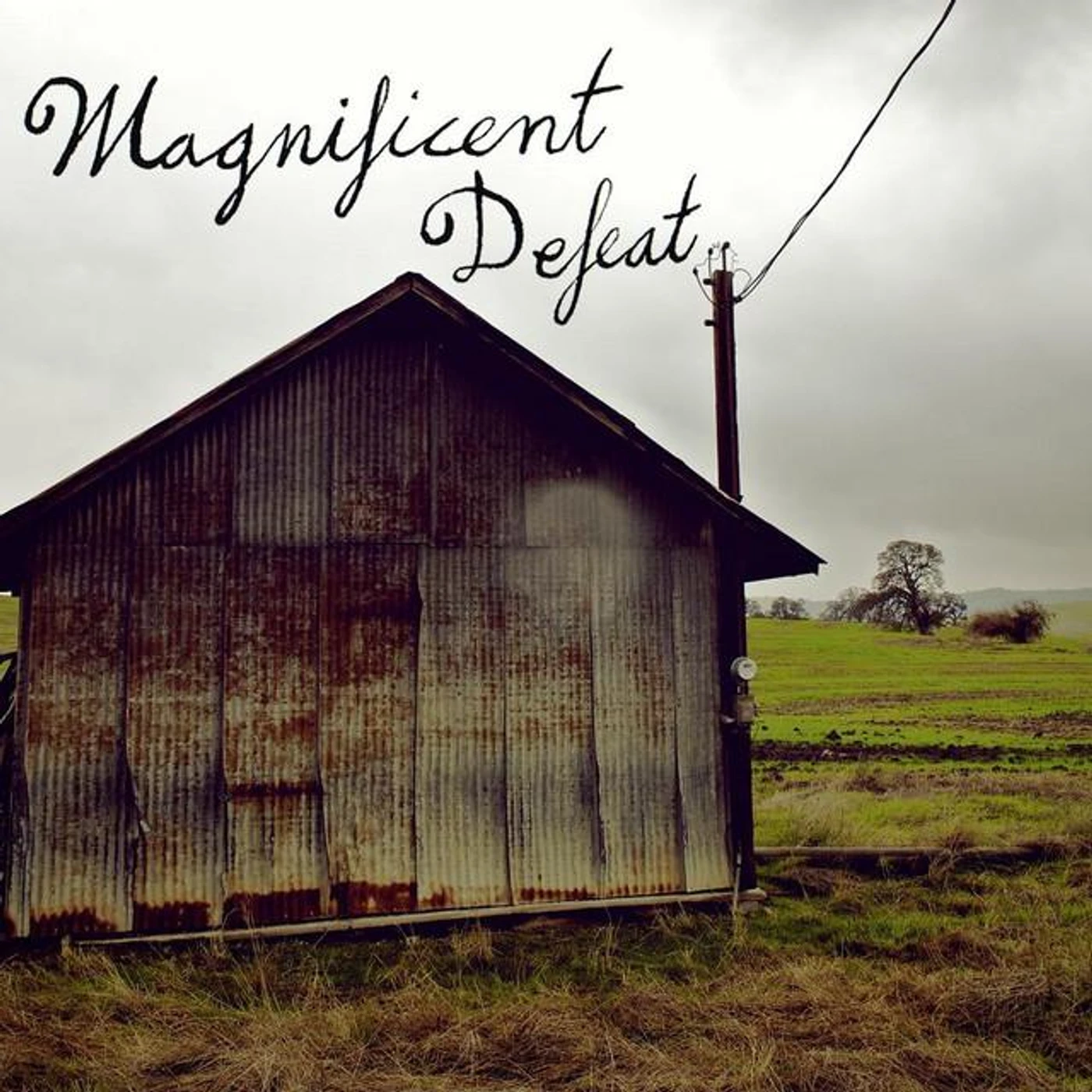 Magnificent Defeat Brand Page