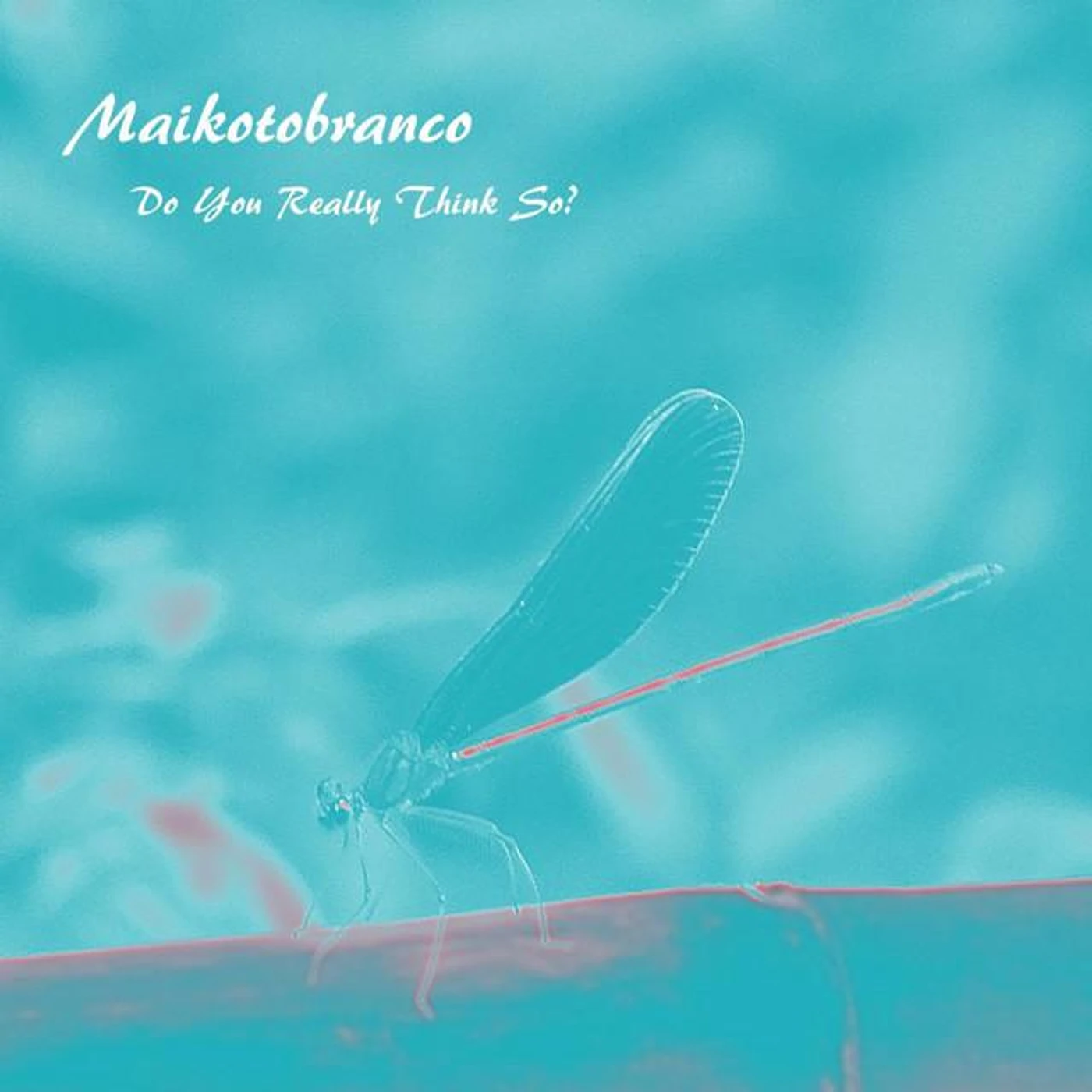 Maikotobranco Brand Page