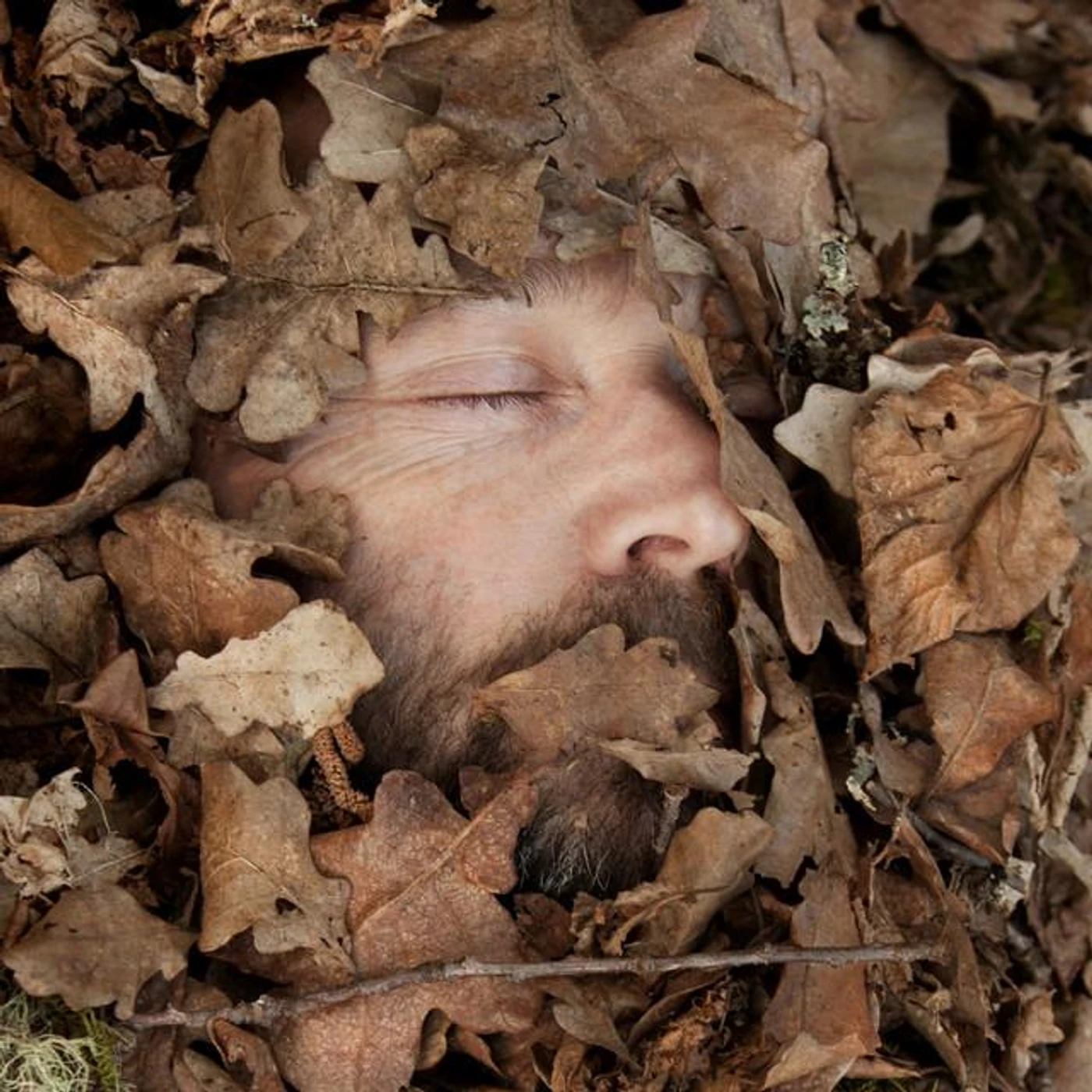 Malcolm Pardon Brand Page