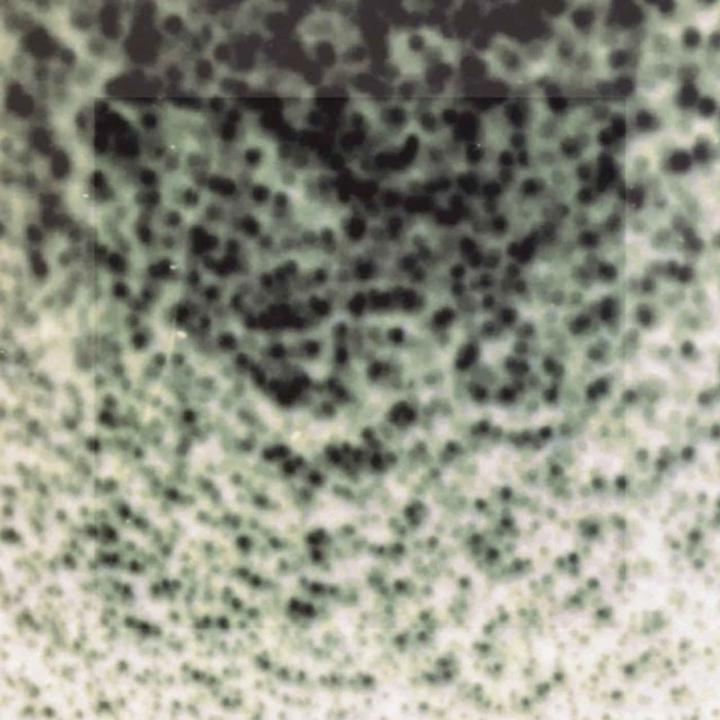 Marble Sky Brand Page