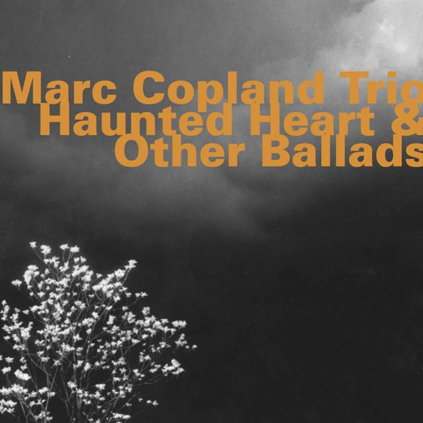 Marc Copland Trio Brand Page