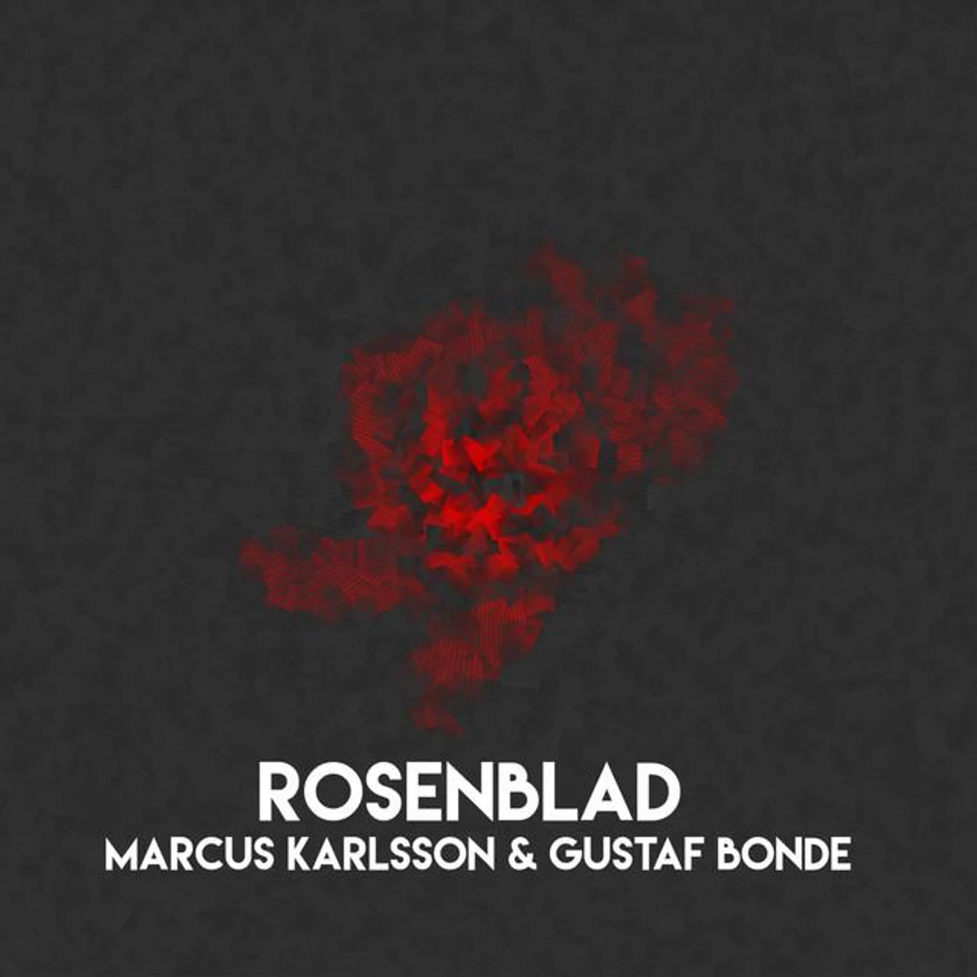 Marcus Karlsson Brand Page