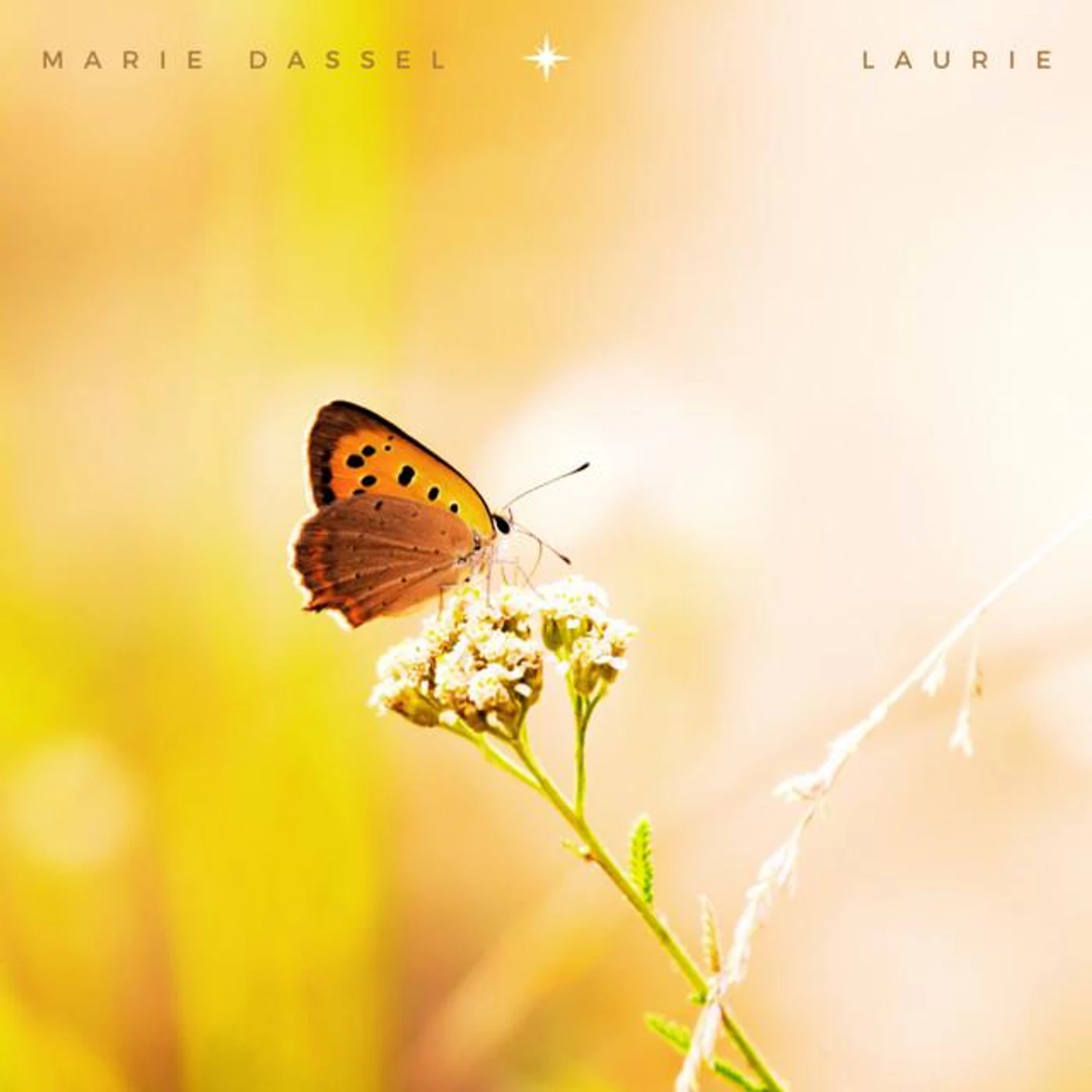 Marie Dassel Brand Page