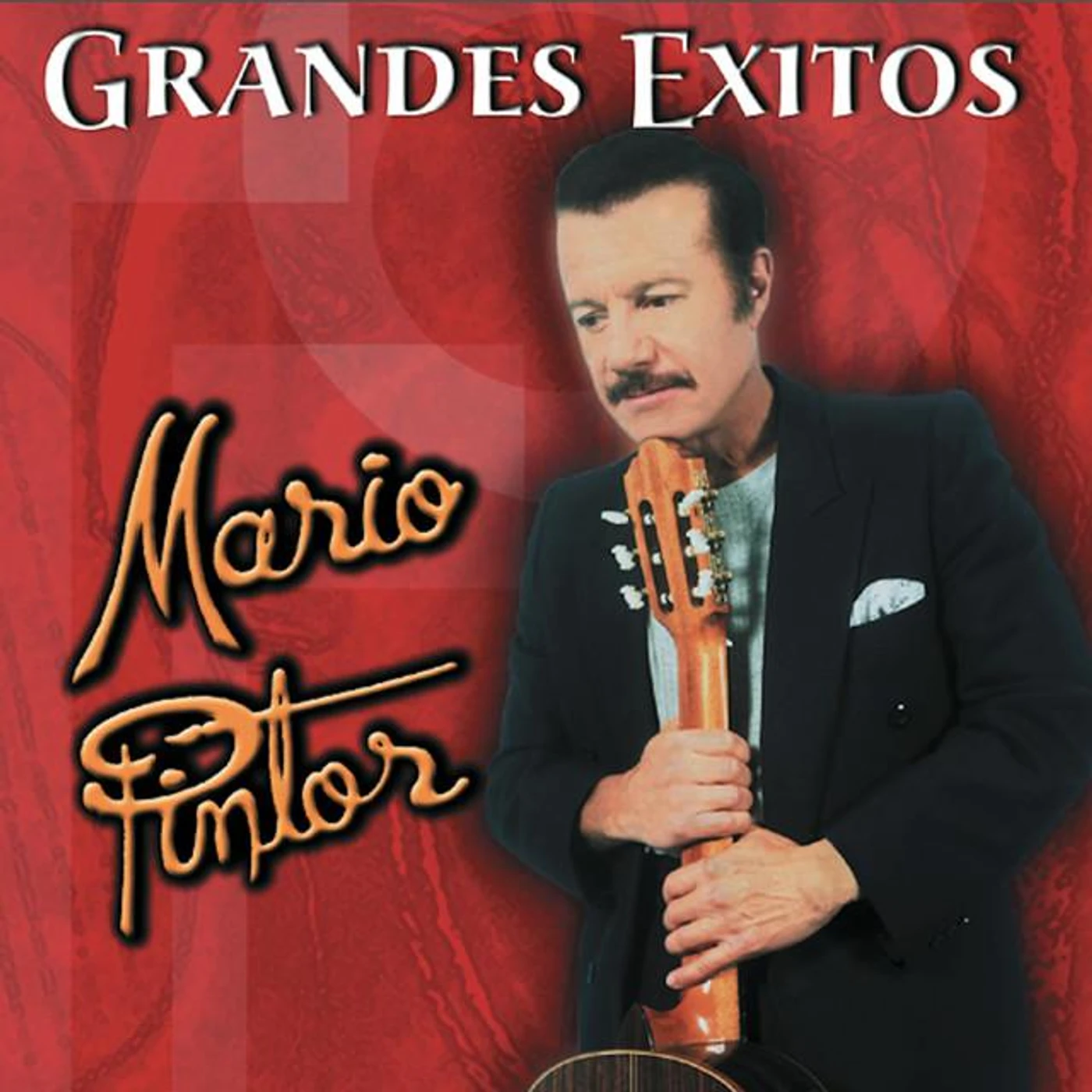 Mario Pintor Brand Page