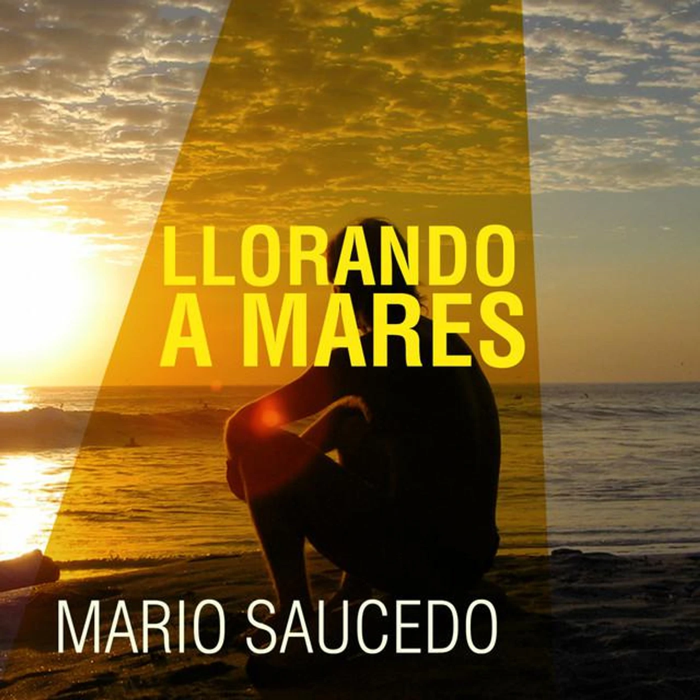 Mario Saucedo Brand Page
