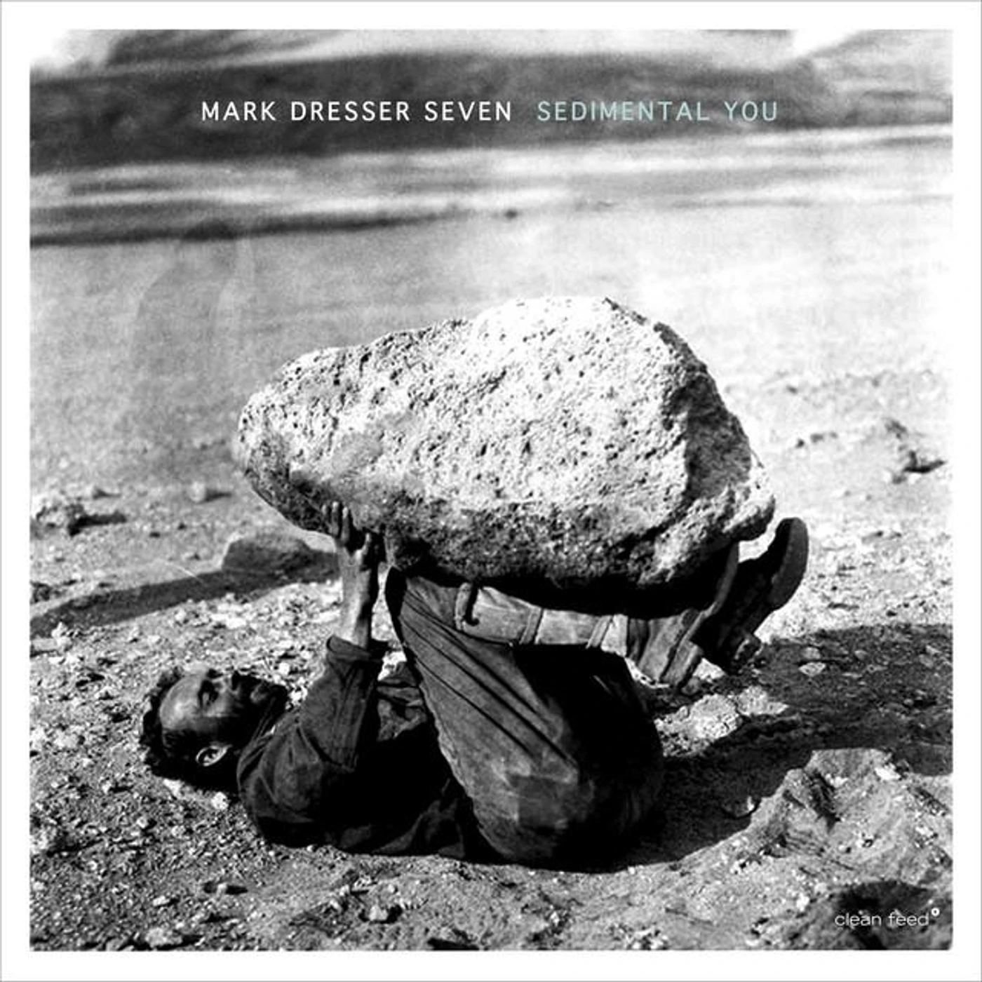 Mark Dresser Seven Brand Page