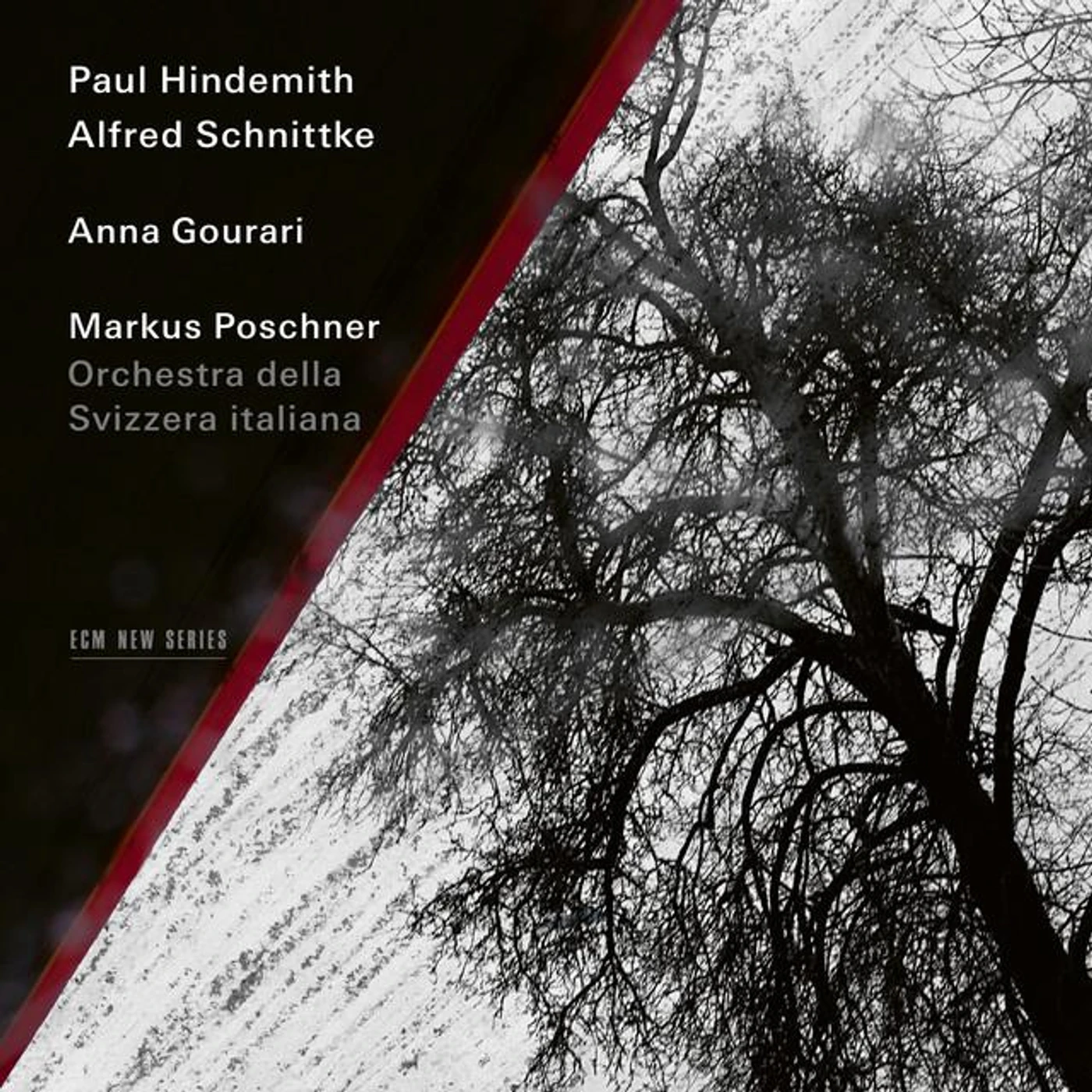 Markus Poschner Brand Page