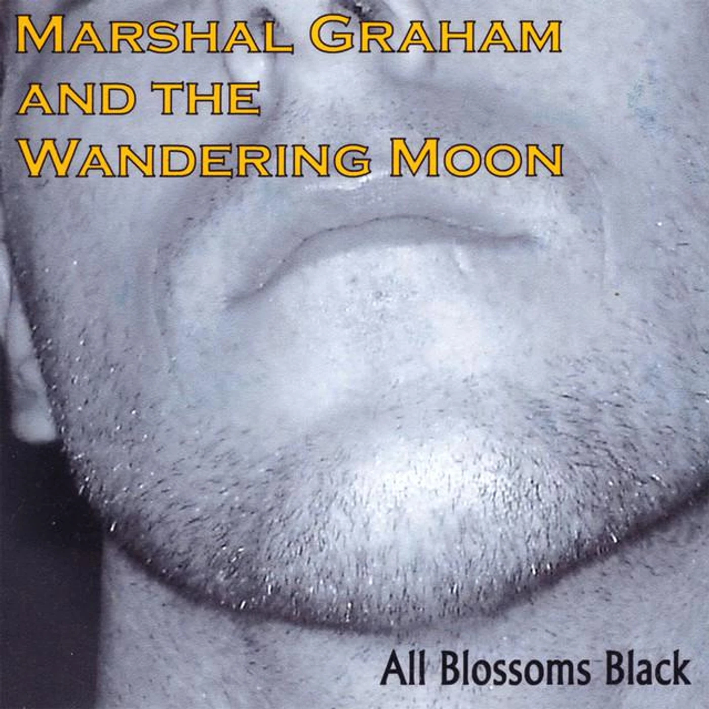 Marshal Graham & The Wandering Moon Brand Page
