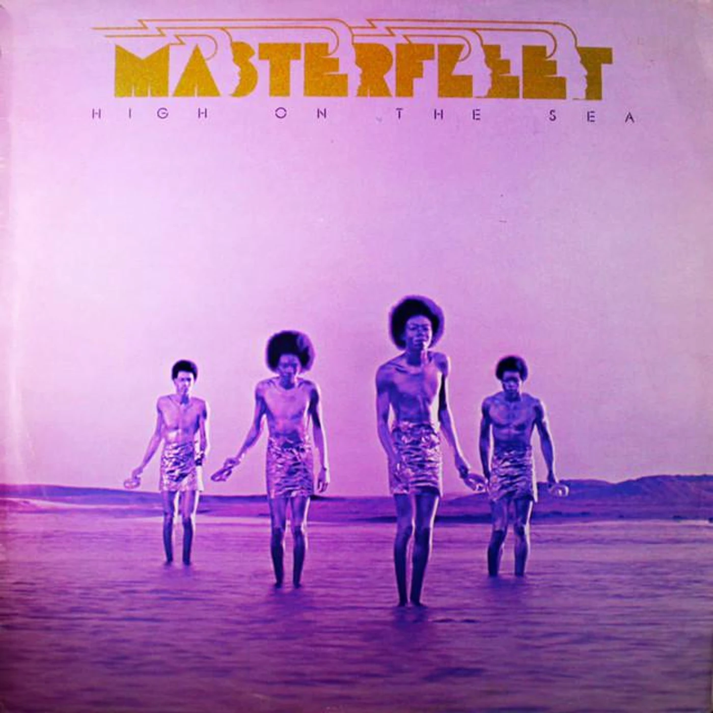 Masterfleet