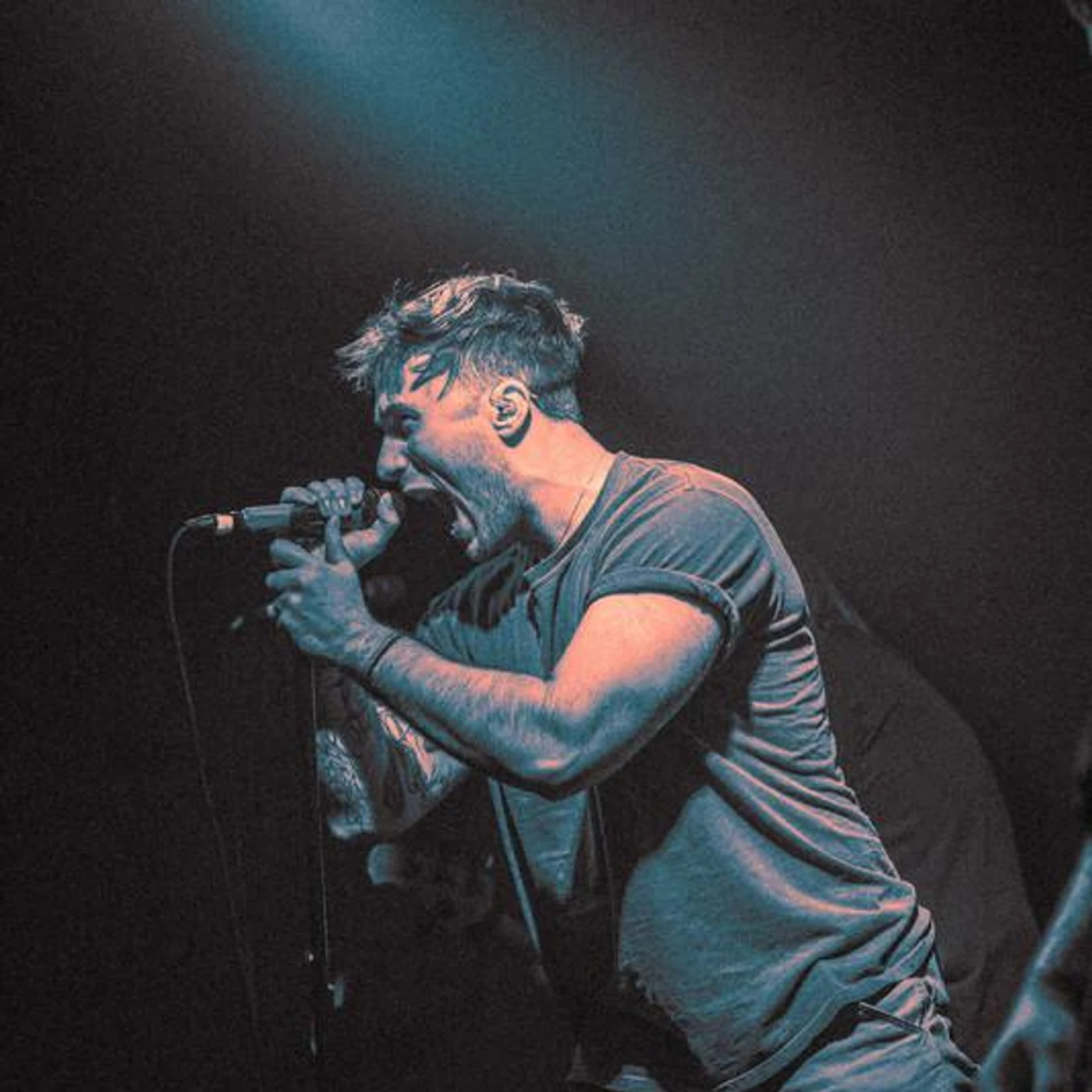 Matt Copley Brand Page