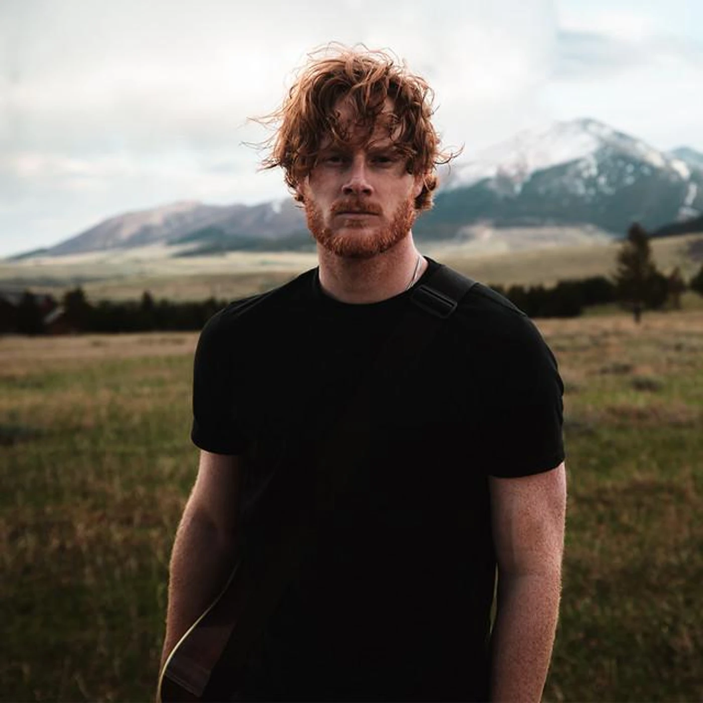 Matt Hansen Brand Page