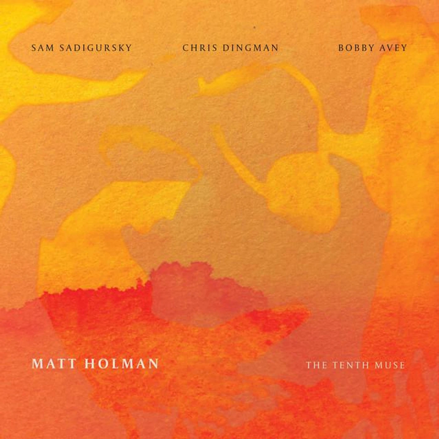 Matt Holman Brand Page