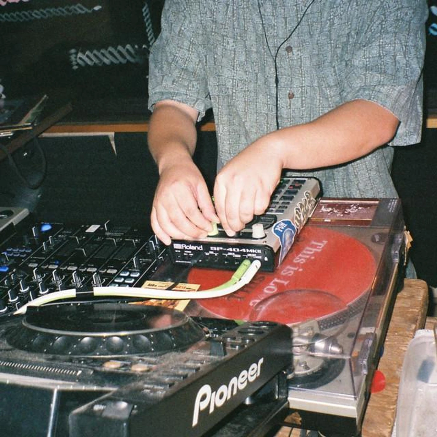 matatabi