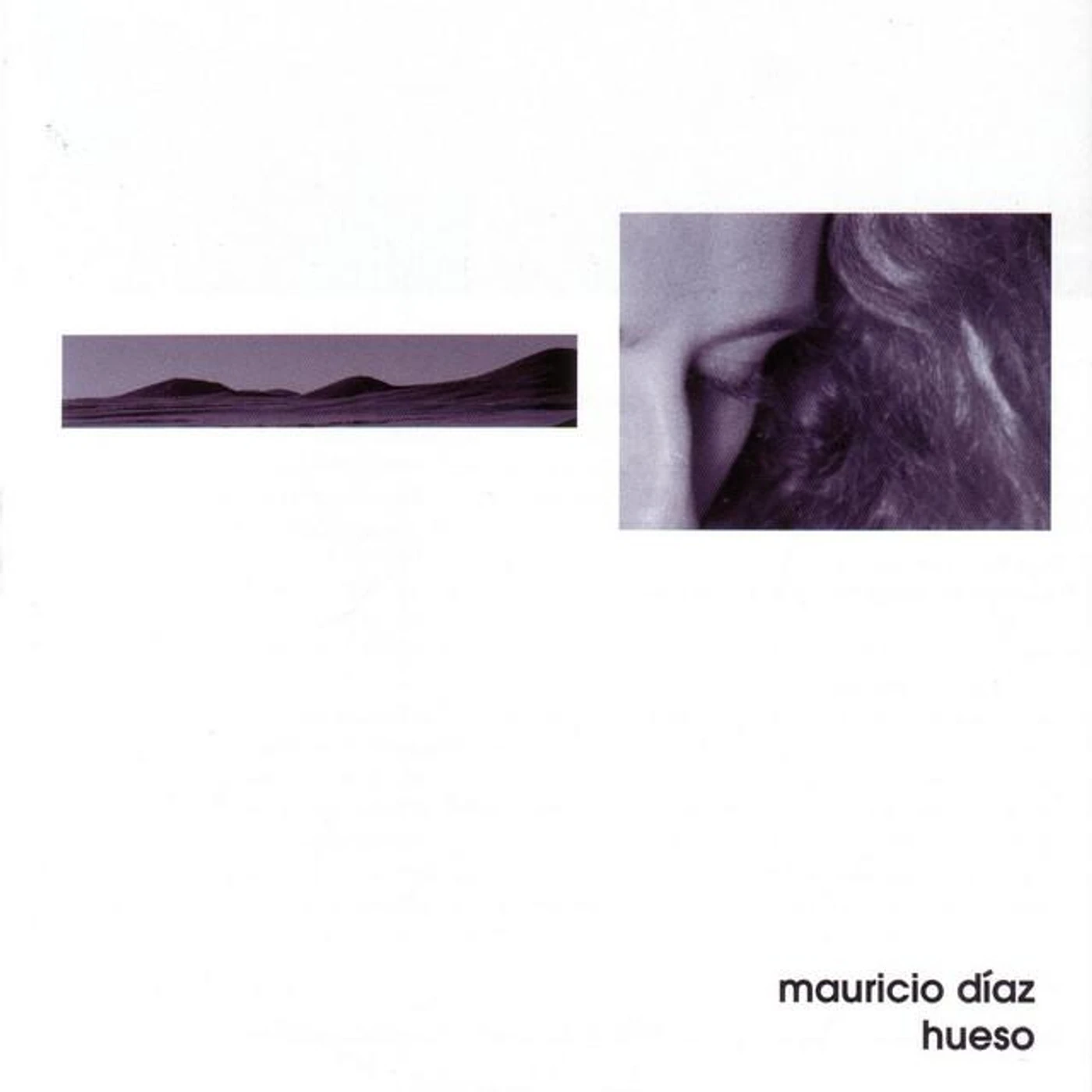 Mauricio Díaz "Hueso" Brand Page