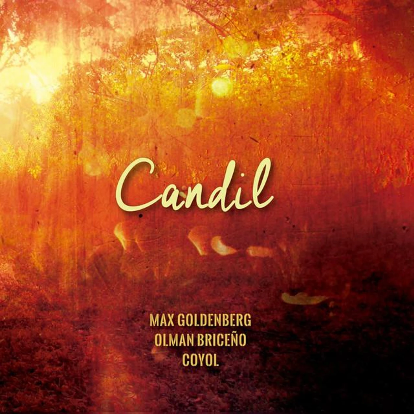 Max Goldenberg Brand Page