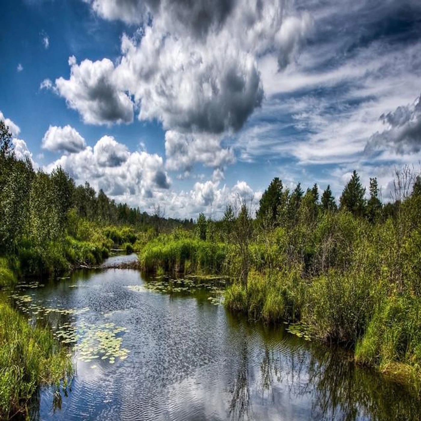 Max Harris Brand Page